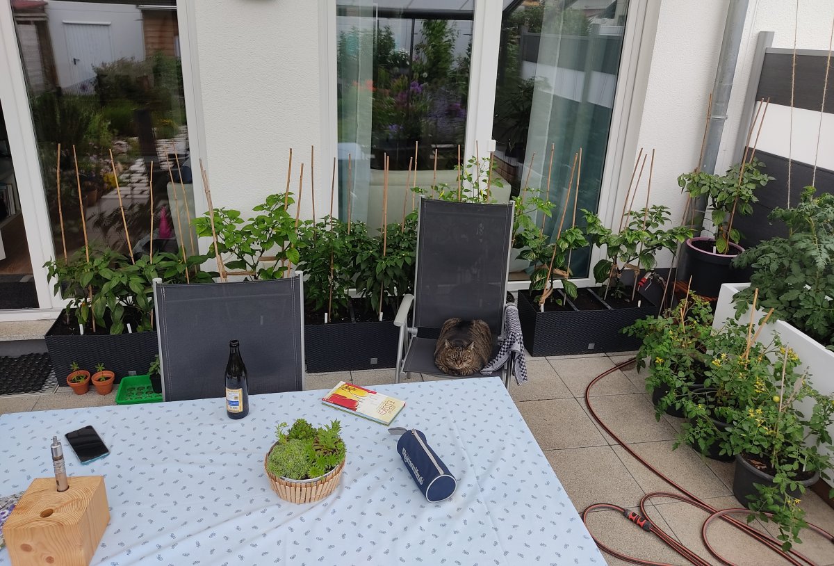 2021-06-09 Terrasse Chilibereich.jpg