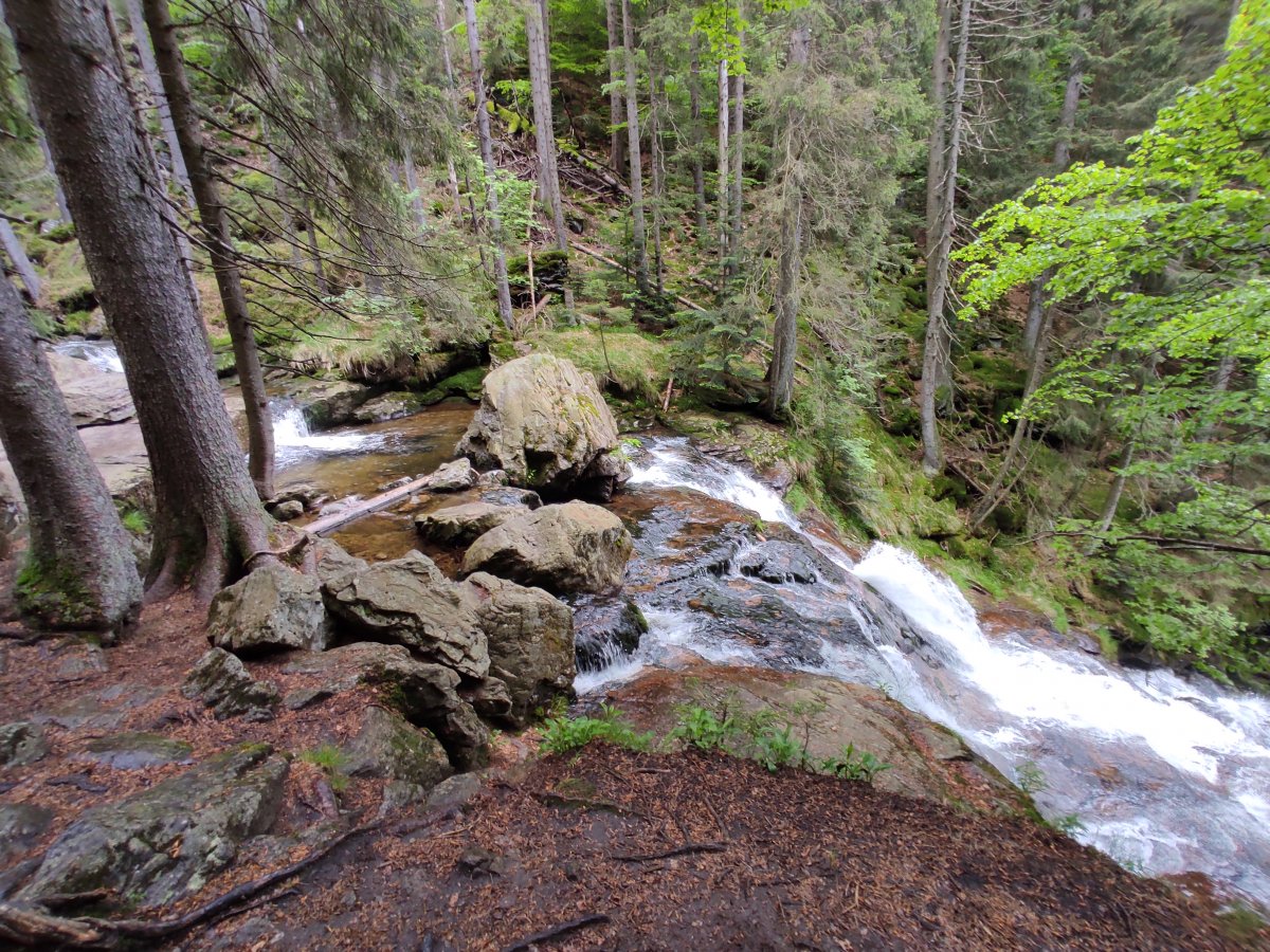 2021-06-10 Rieslochwasserfälle Wanderung - Kleiner Arber (2).jpg