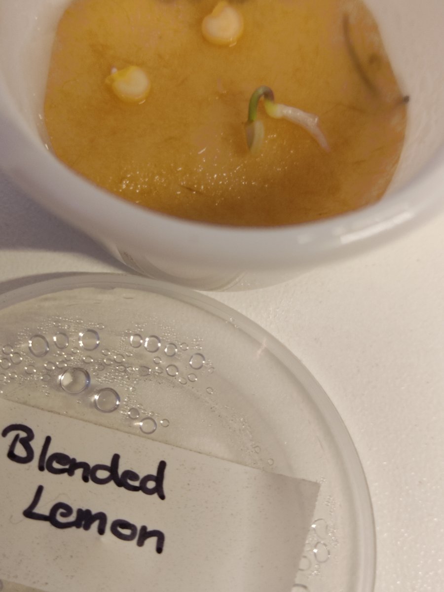 2021-12-16 Blended Lemon (Schimmel).jpg