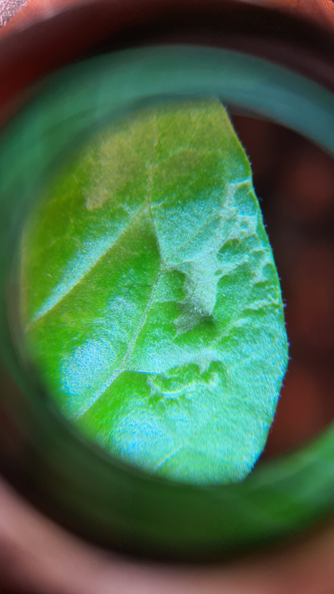 20210114_175427.jpg