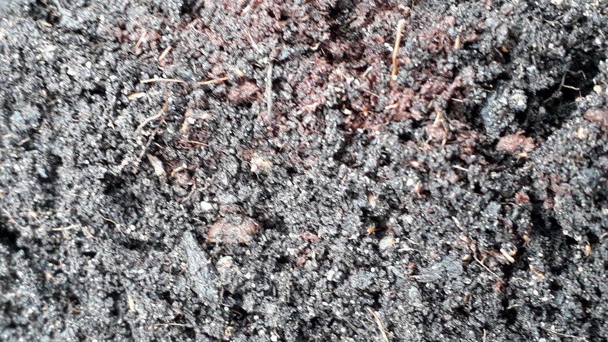 20210510_160023.jpg