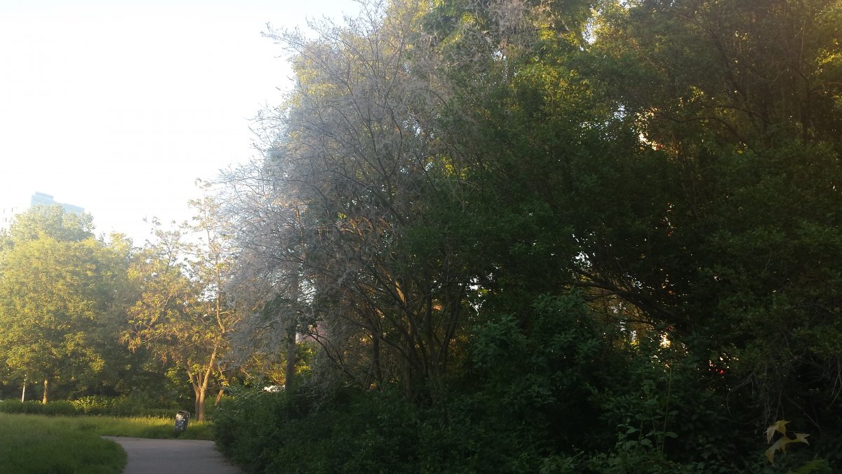 20210603_200253.jpg