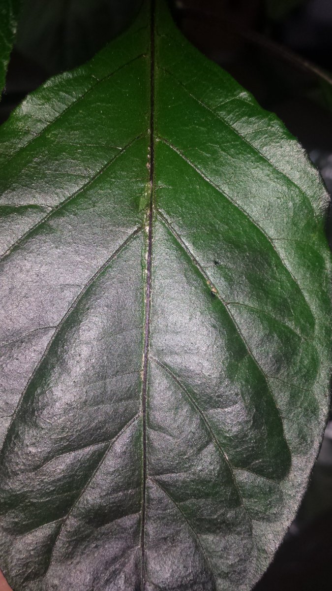 20210604_135835.jpg