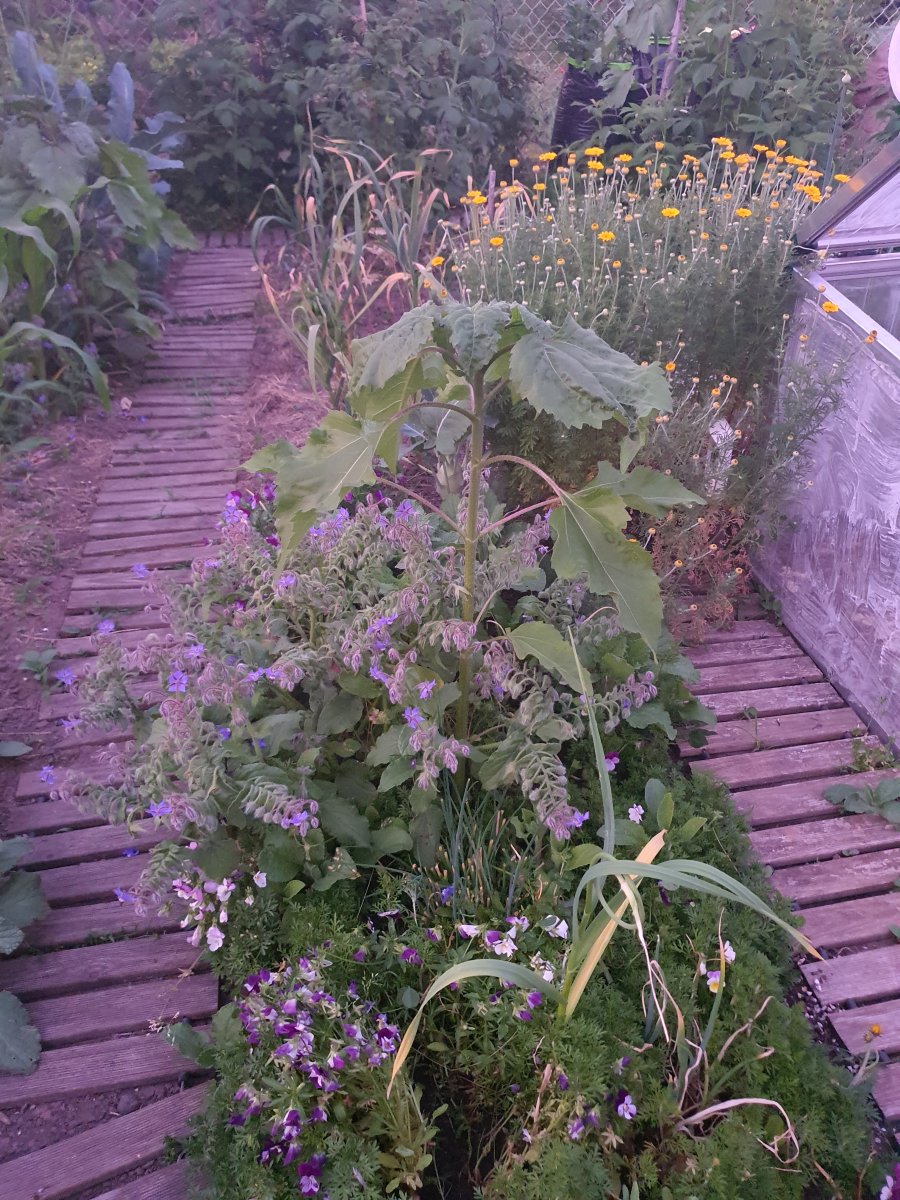 20210615_215517.jpg