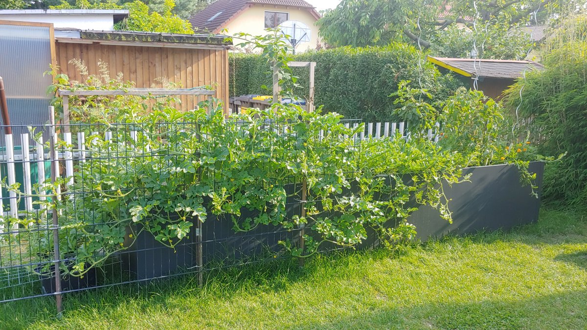 20210710_175431_HDR.jpg