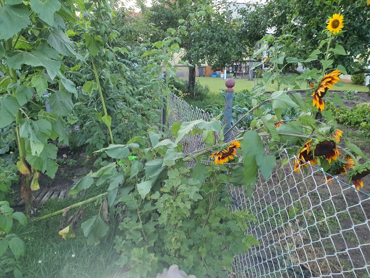 20210808_202225.jpg