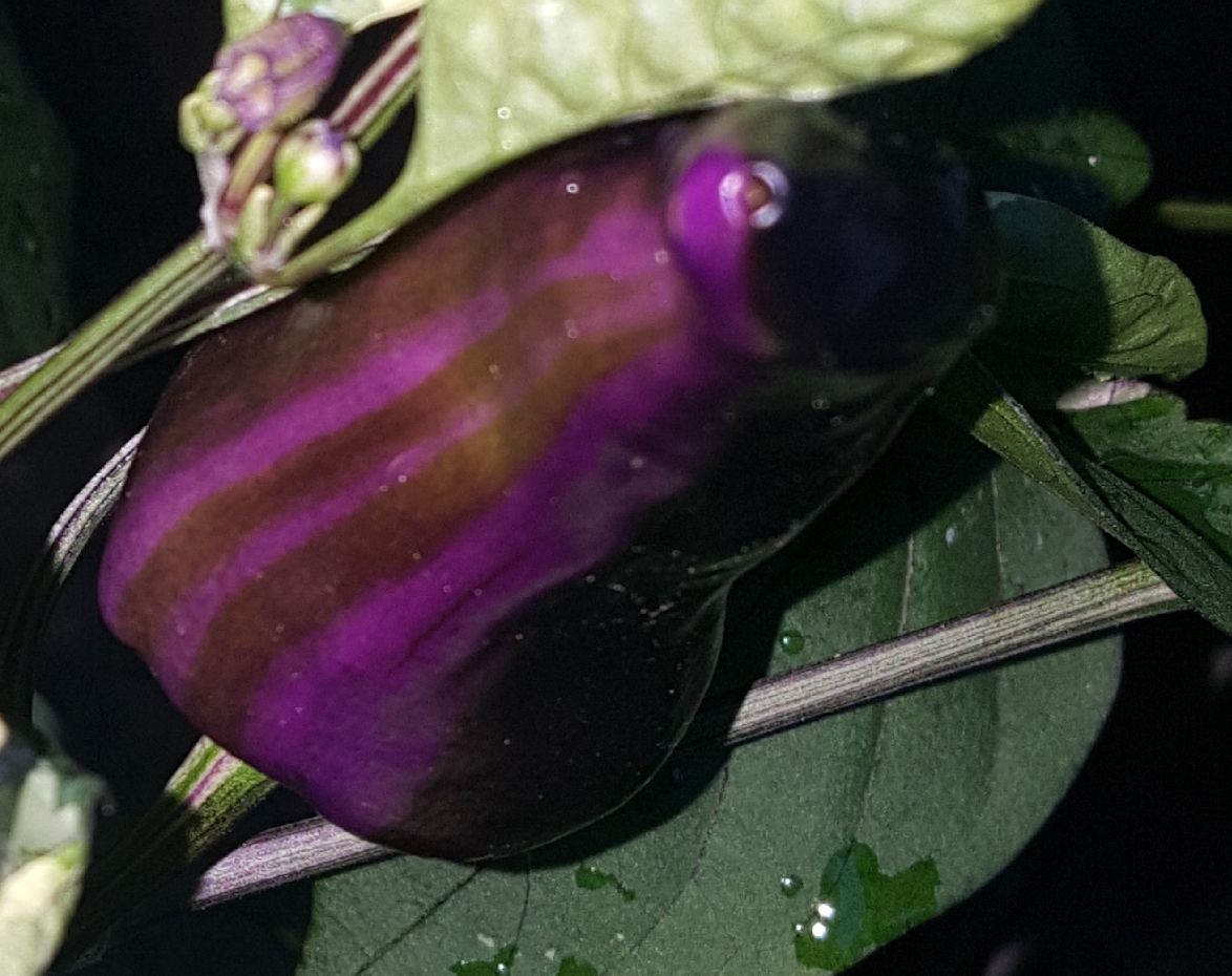 20210813_212918.jpg