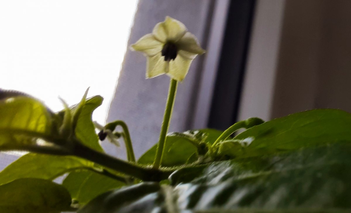 20211108_110121.jpg