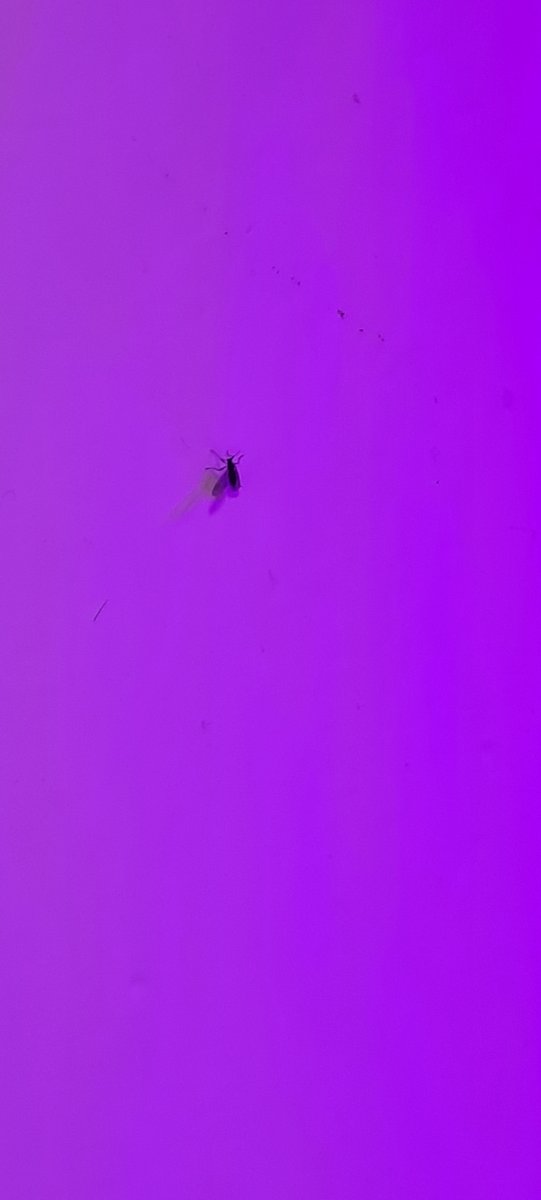 20211220_105230.jpg