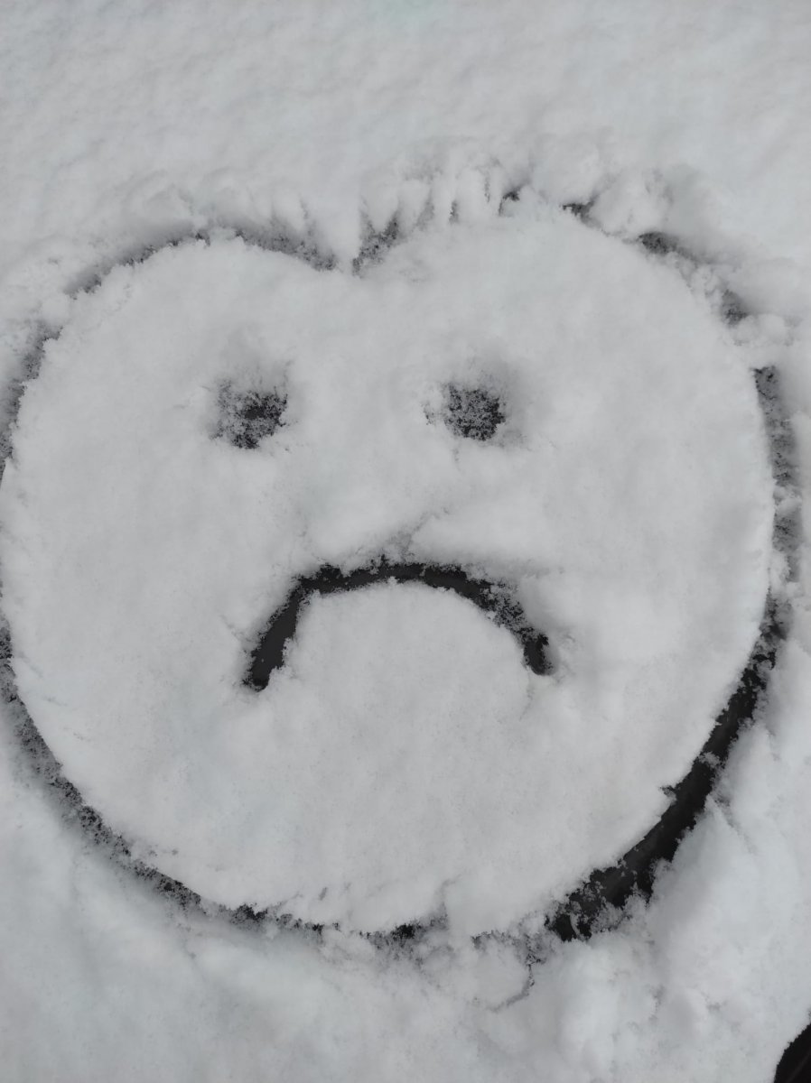 2022-04-03 Schnee im April.jpg