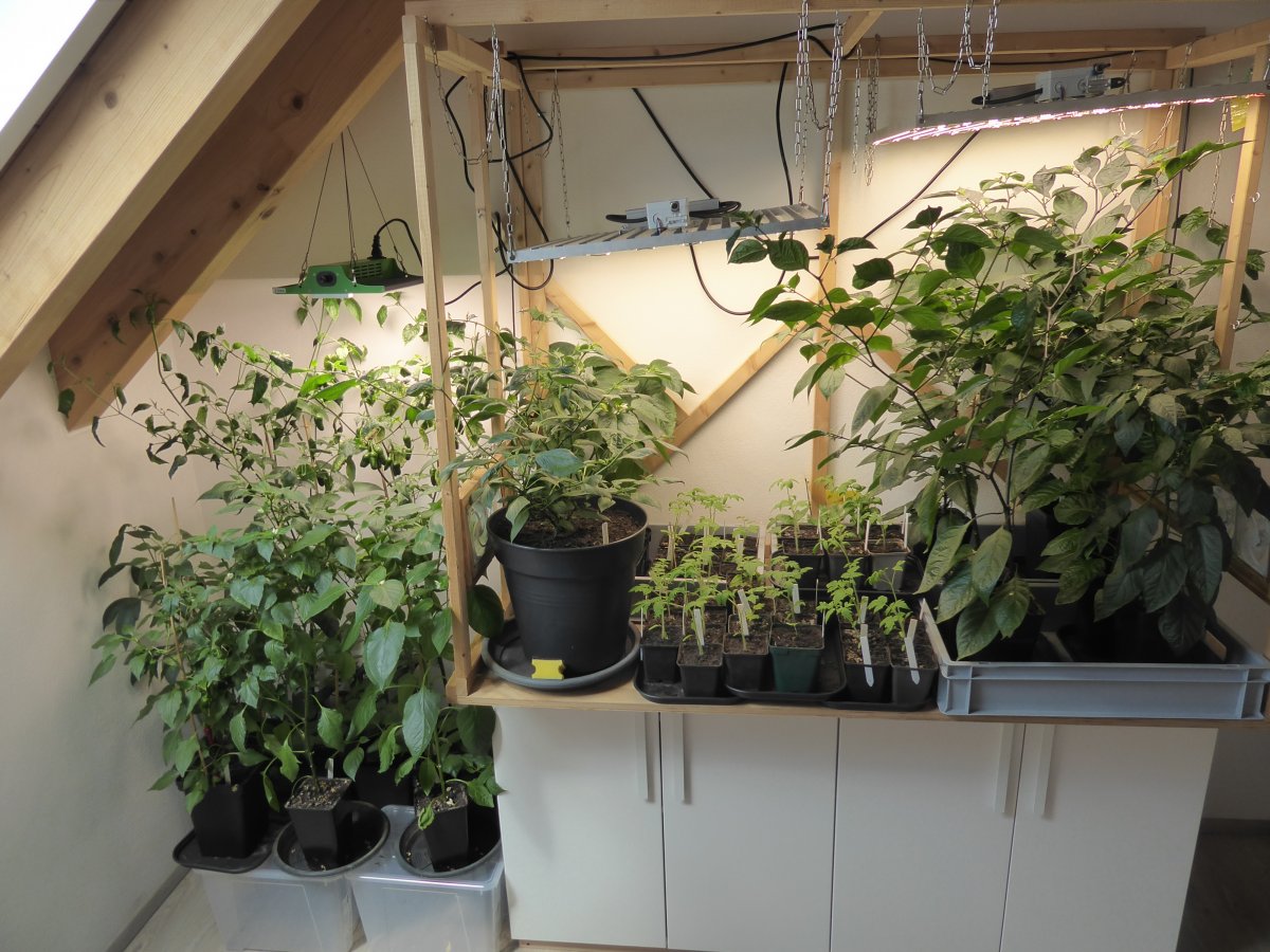 2022-04-24 Überblick Indoor.JPG