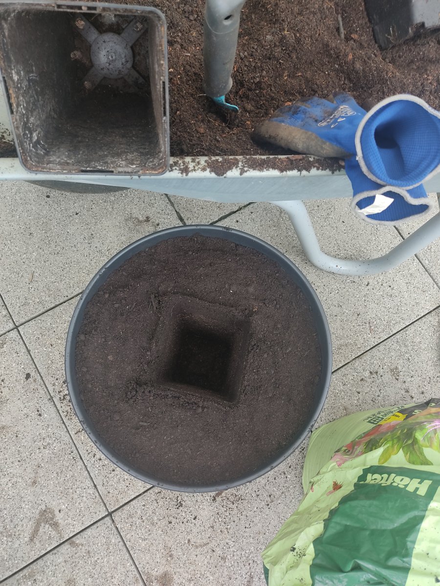 2022-05-08 Umtopfen bei Lederhose Station 7 - Dummytopf entnehmen.jpg