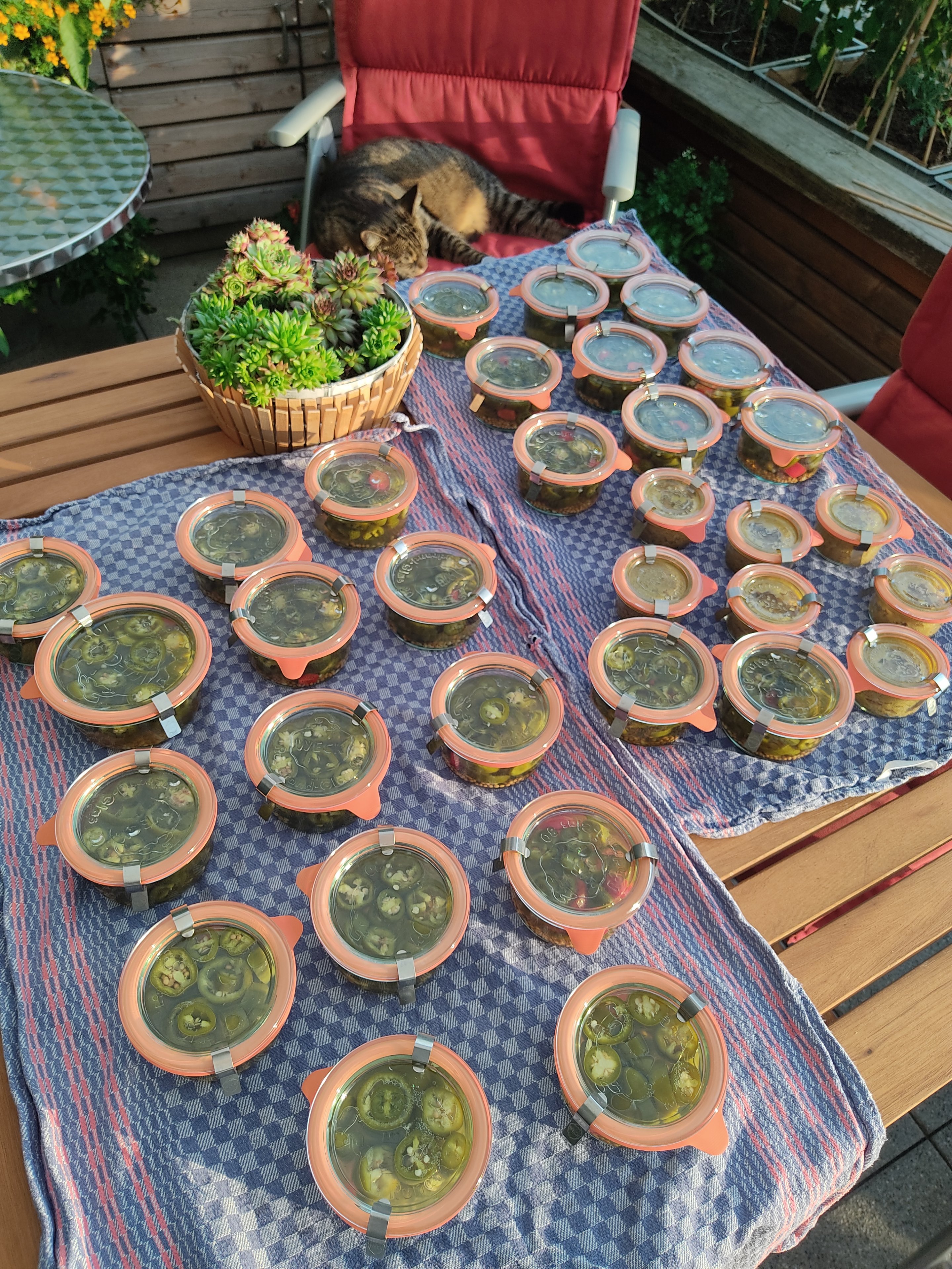 2022-07-31 Jalapeno und Cheiro-Mus fertig eingekocht.jpg
