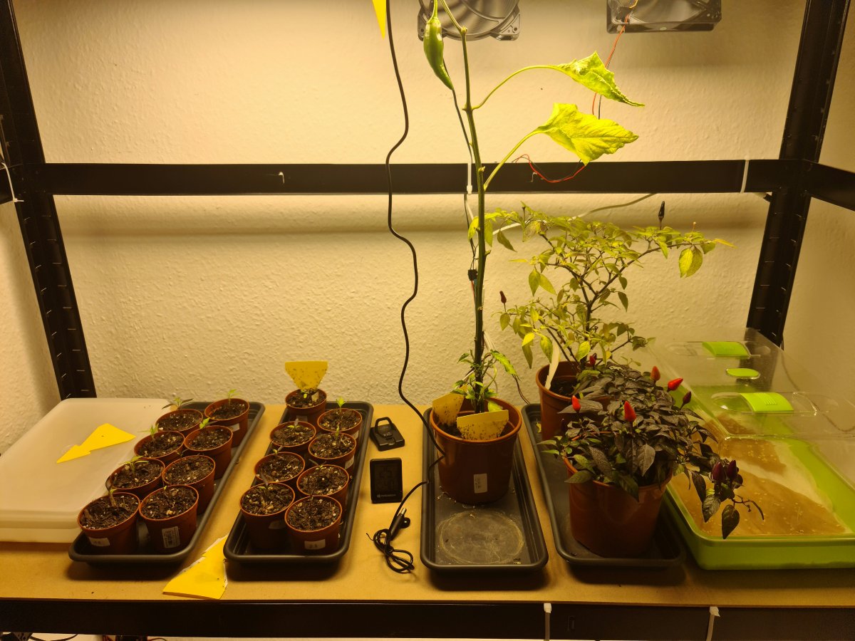 20220118_161503.jpg