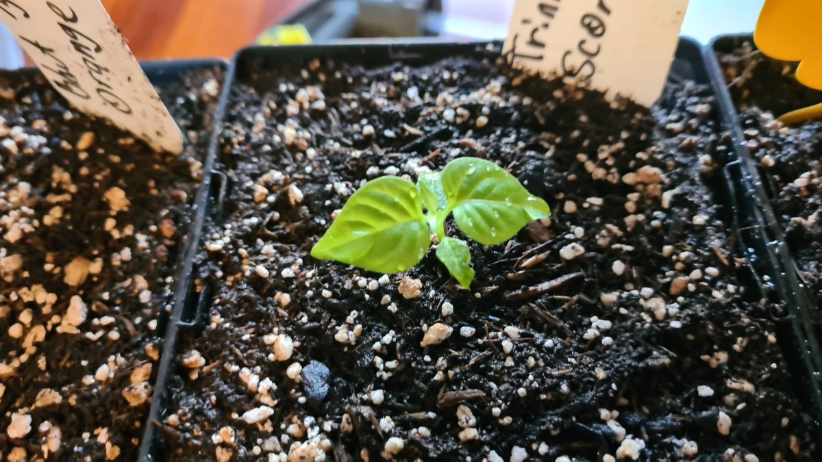 20220128_101605.jpg