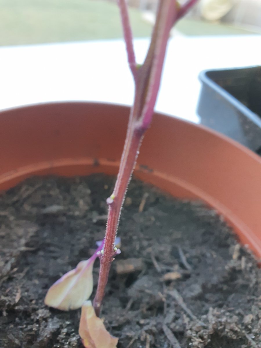20220129_105429.jpg
