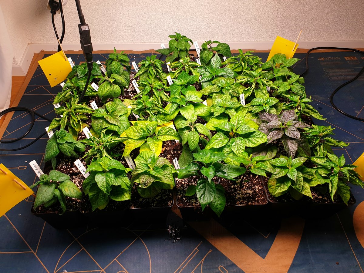 20220129_105628.jpg