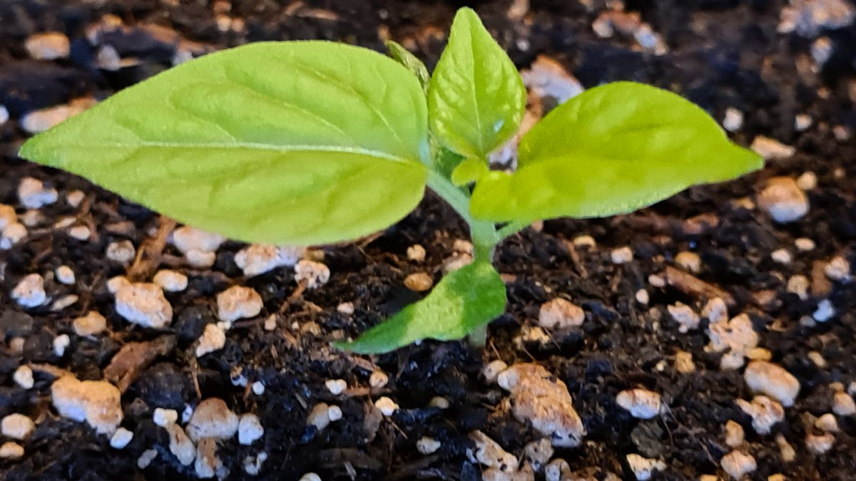 20220131_110029.jpg