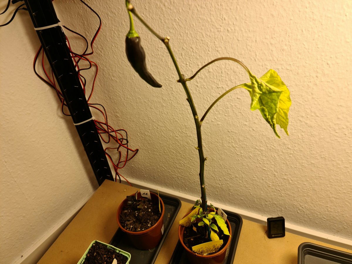 20220204_153247.jpg