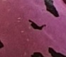20220216_182210.jpg