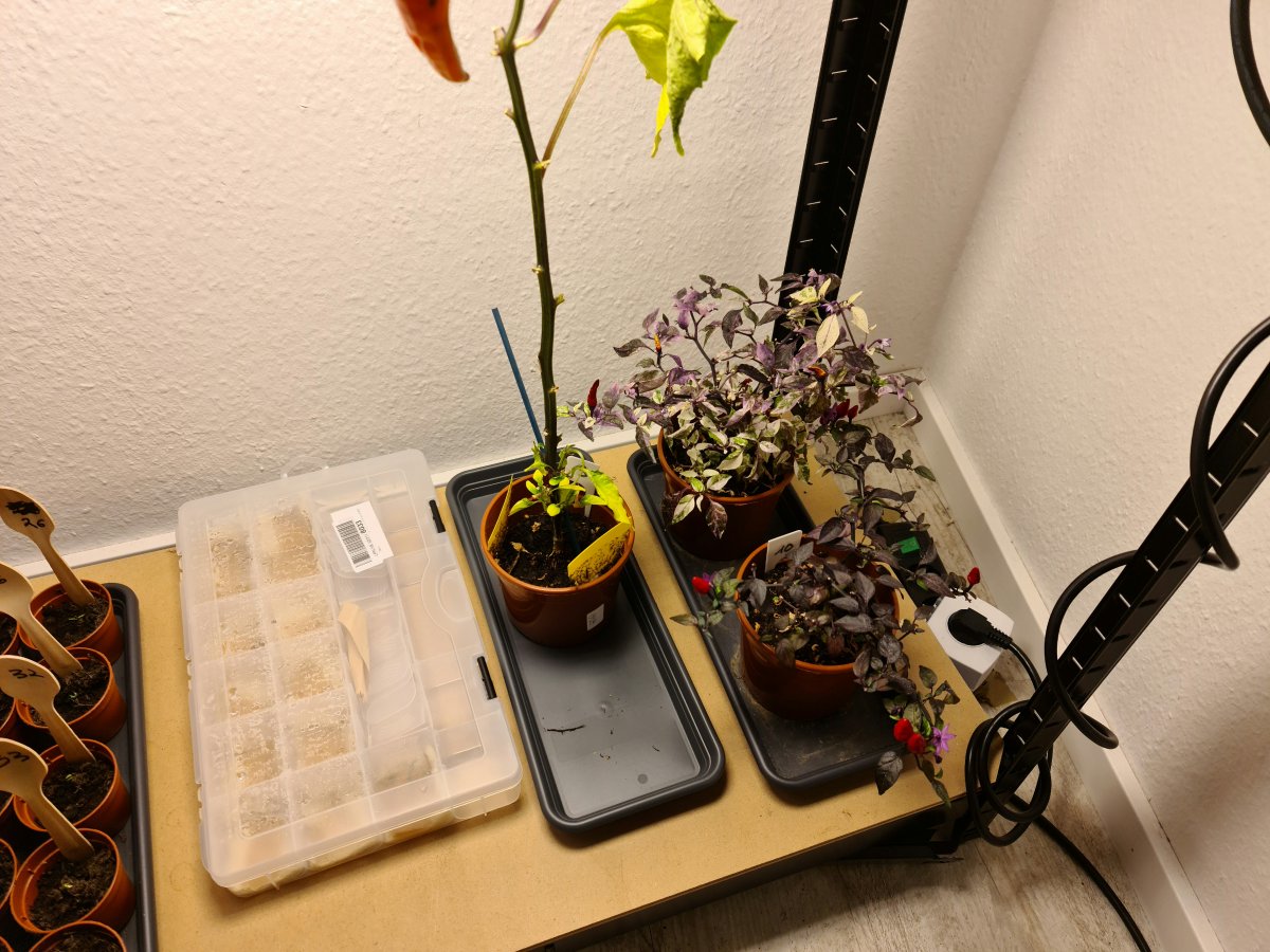20220226_073736.jpg