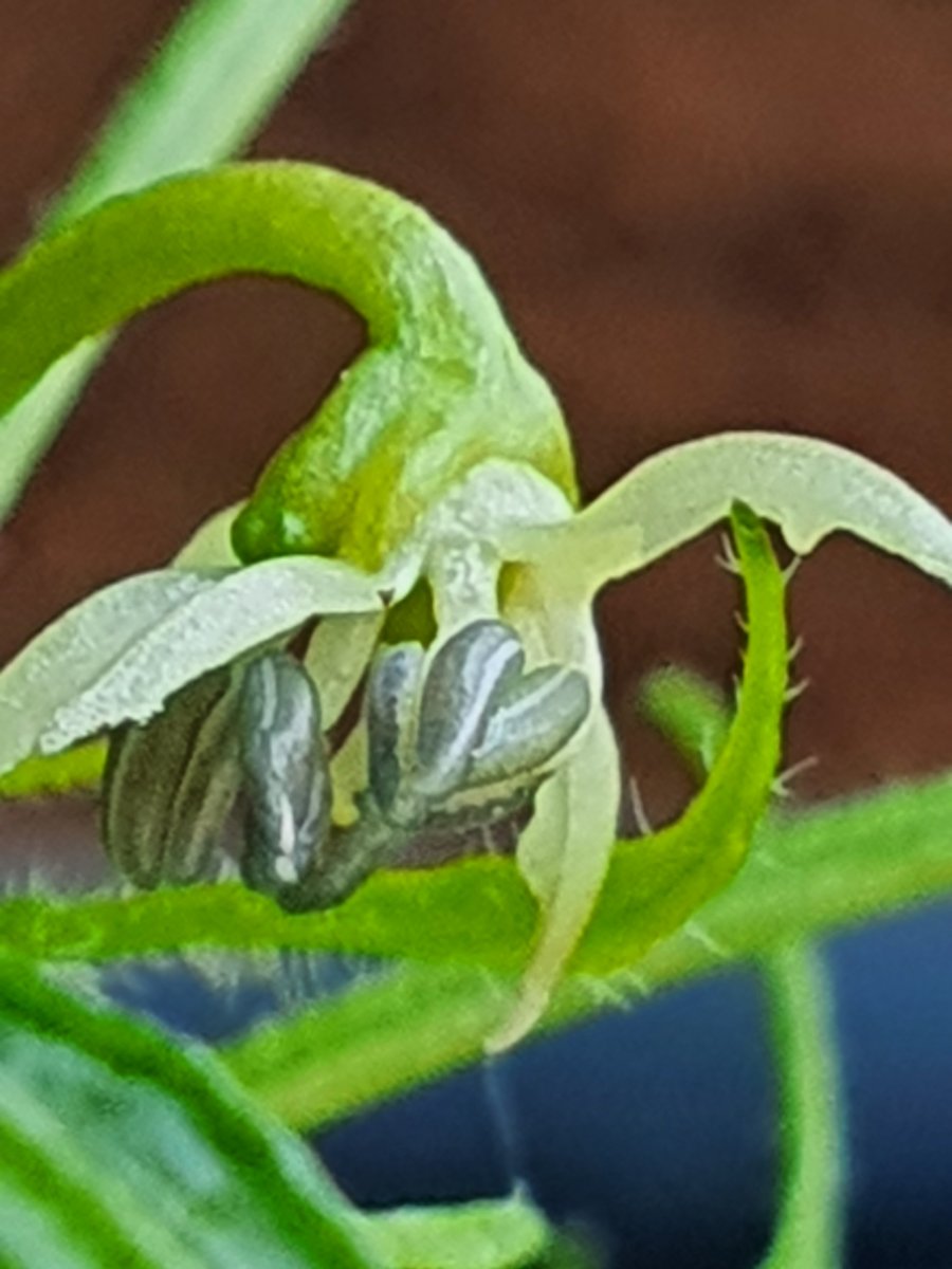20220320_094953.jpg