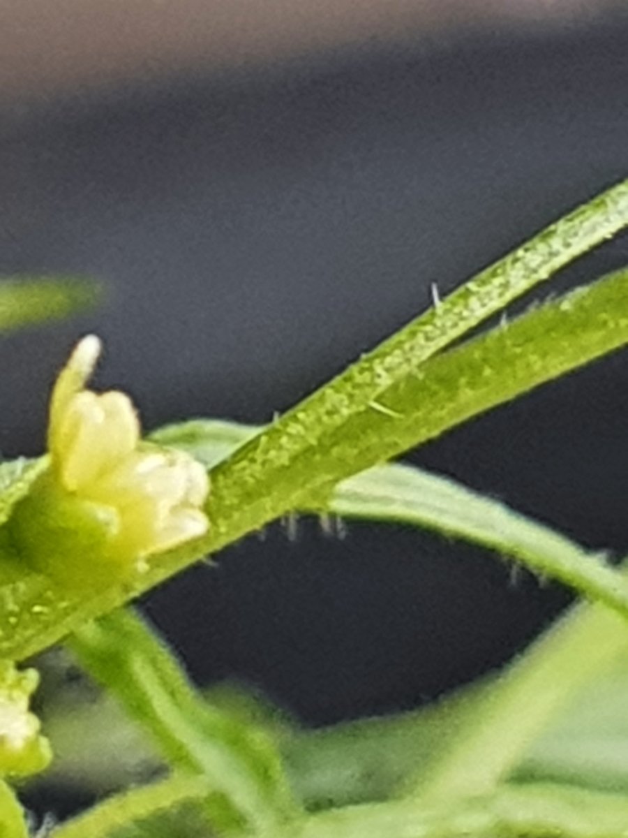20220320_095039.jpg