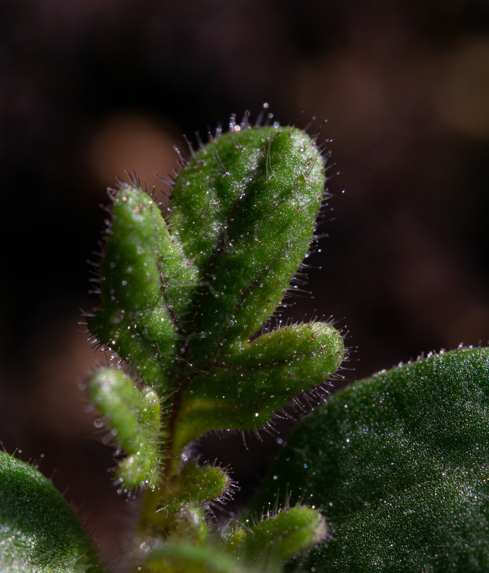 20220419__DSC1020__2000px_sRGB.jpg