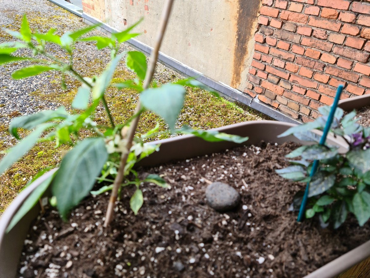 20220524_175818.jpg