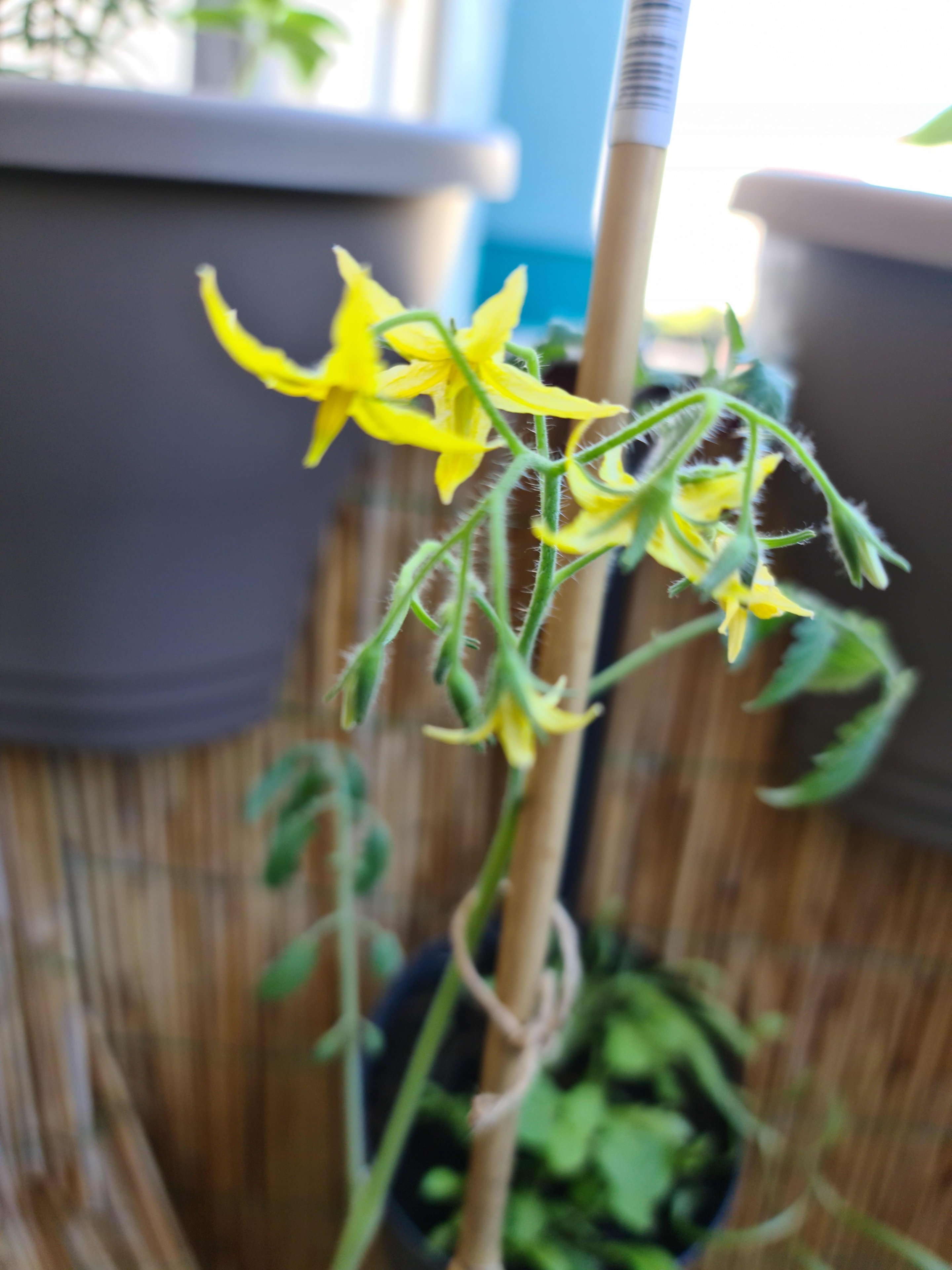 20220614_131024.jpg