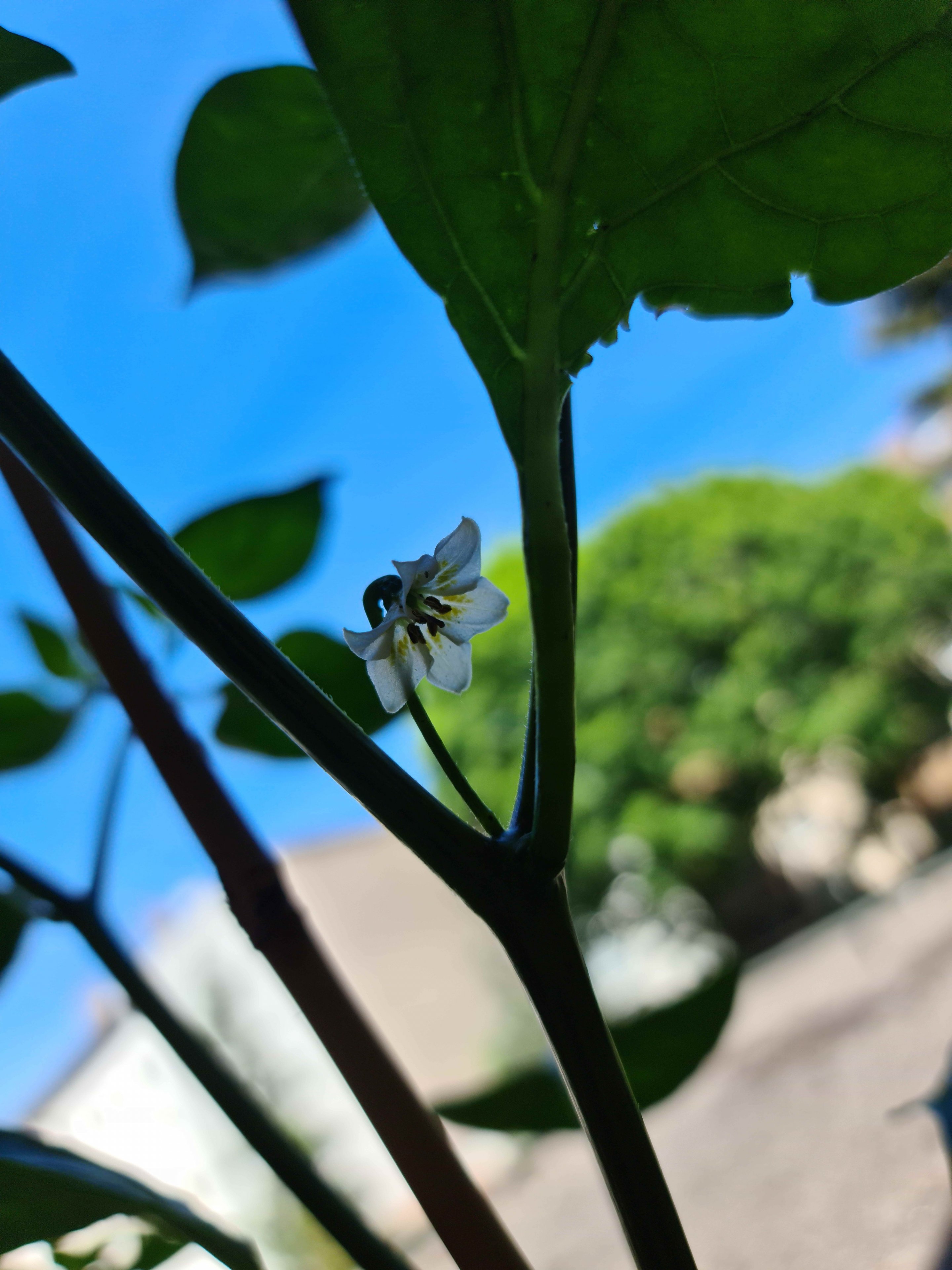 20220614_131331.jpg