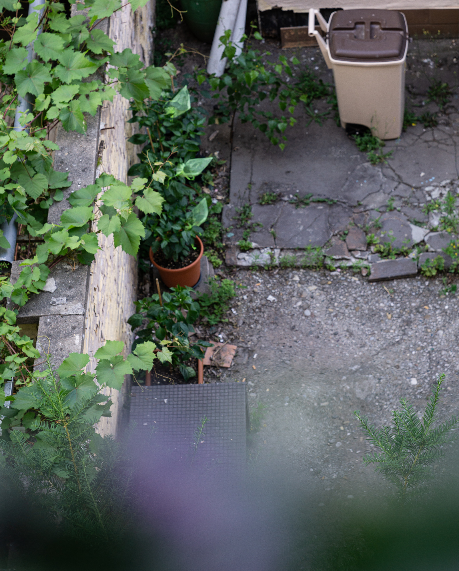 20220617__DSC1405__2000px_sRGB.jpg