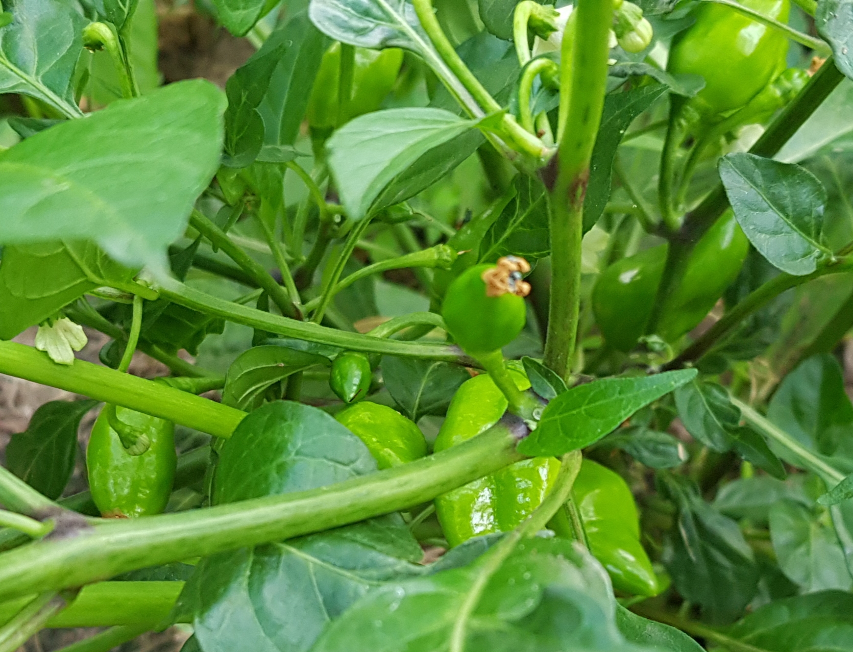 20220622_220351.jpg