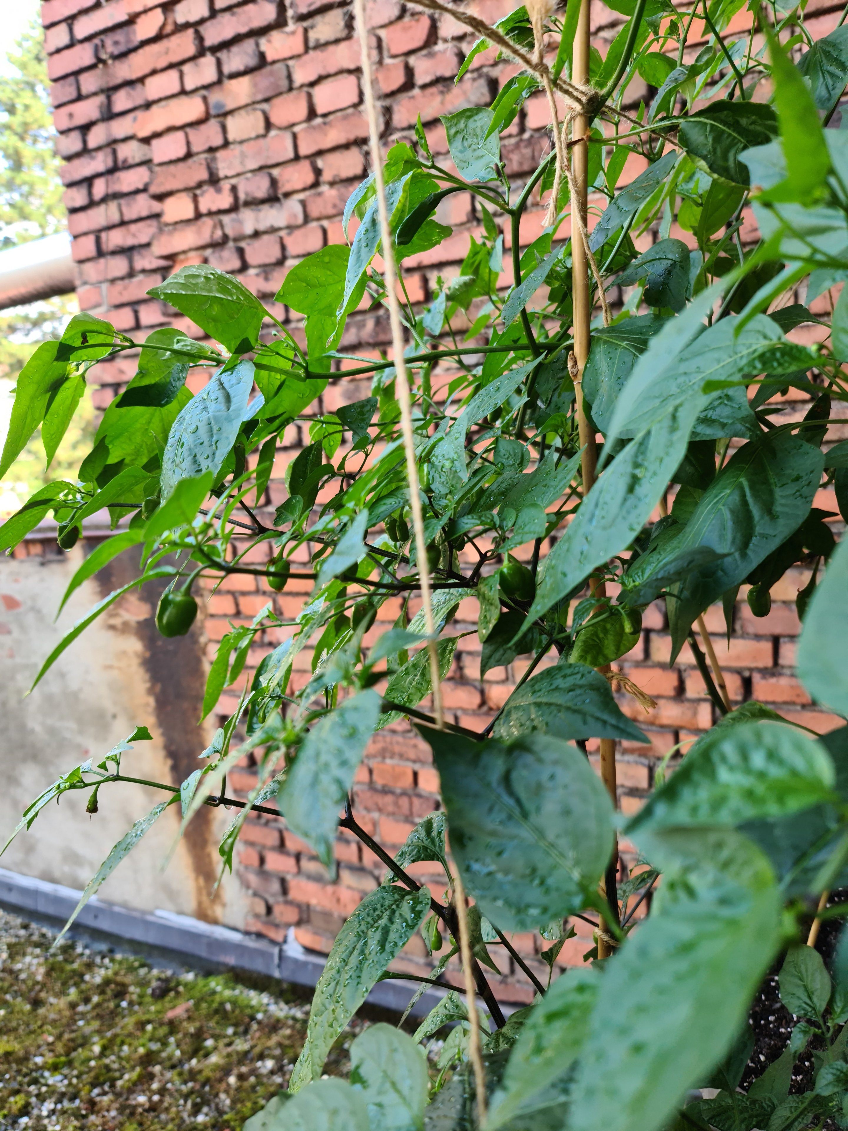20220730_151051.jpg