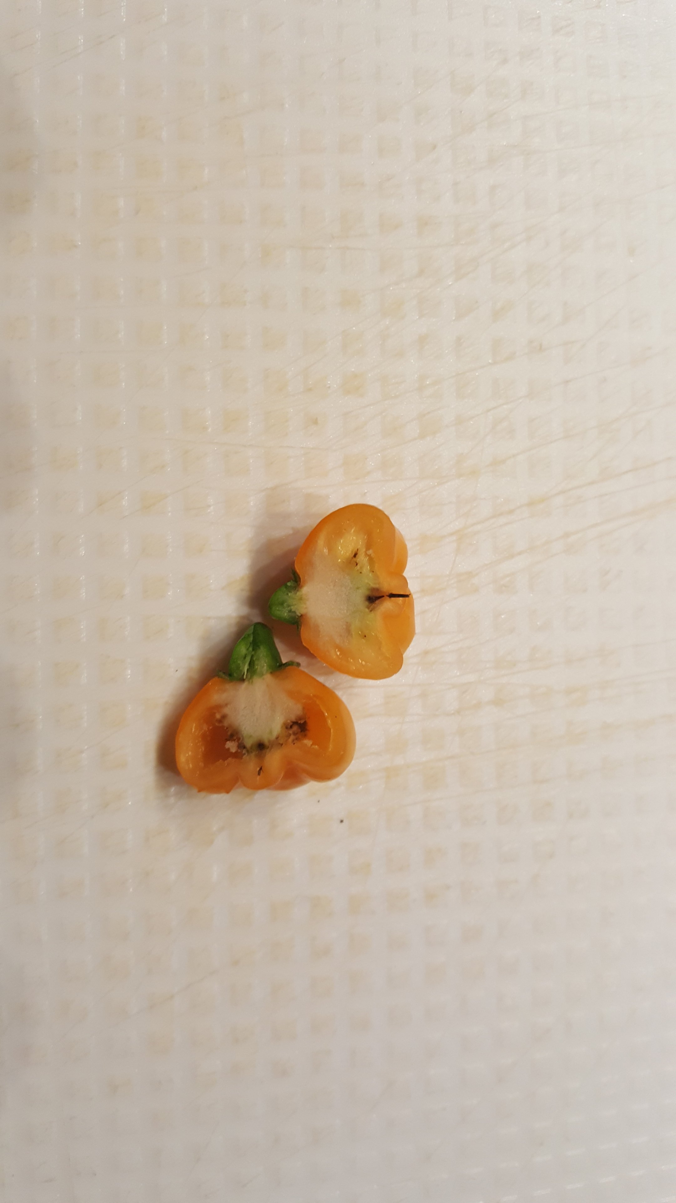 20220804_184515.jpg