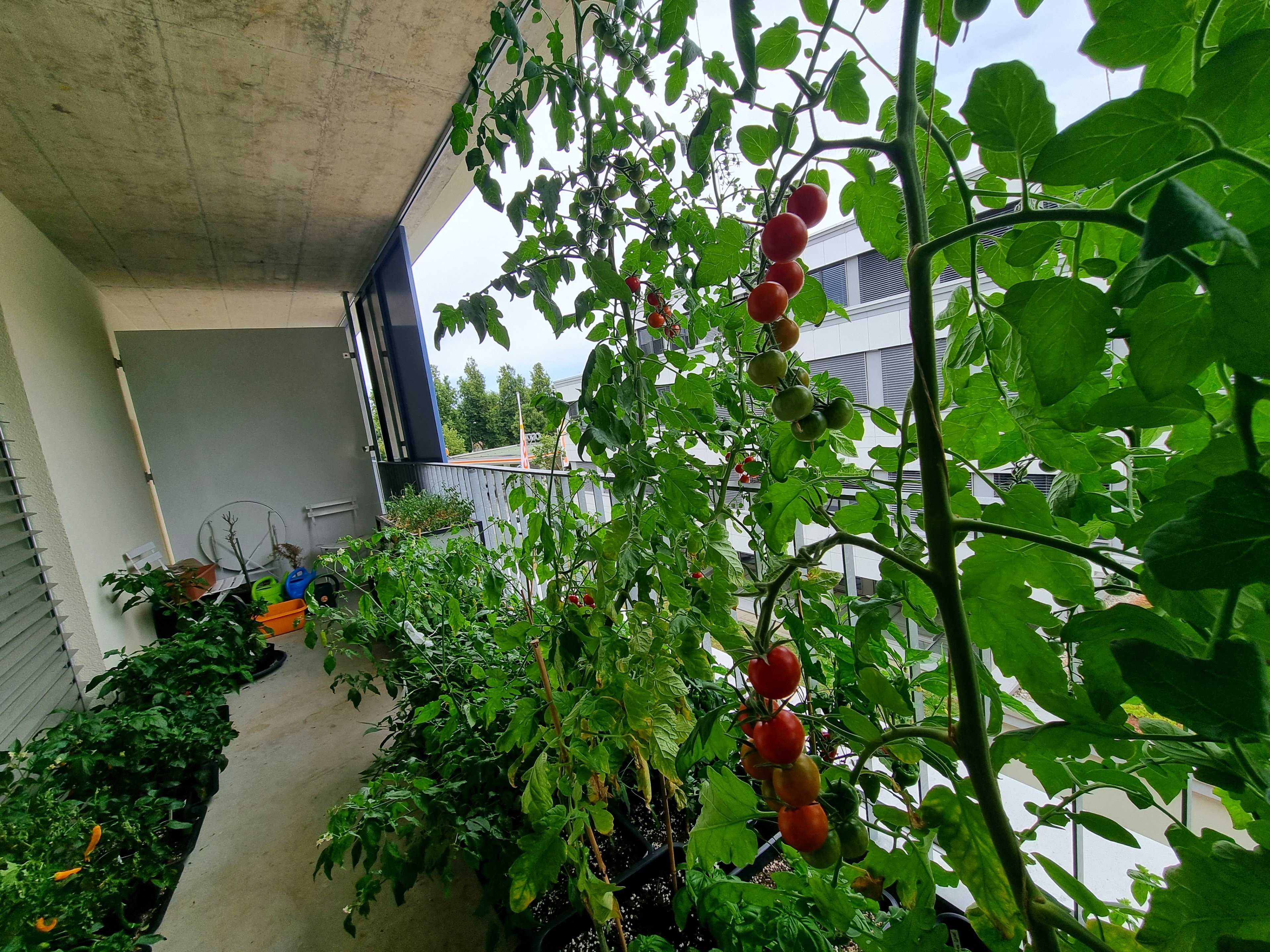 20220814_171045.jpg