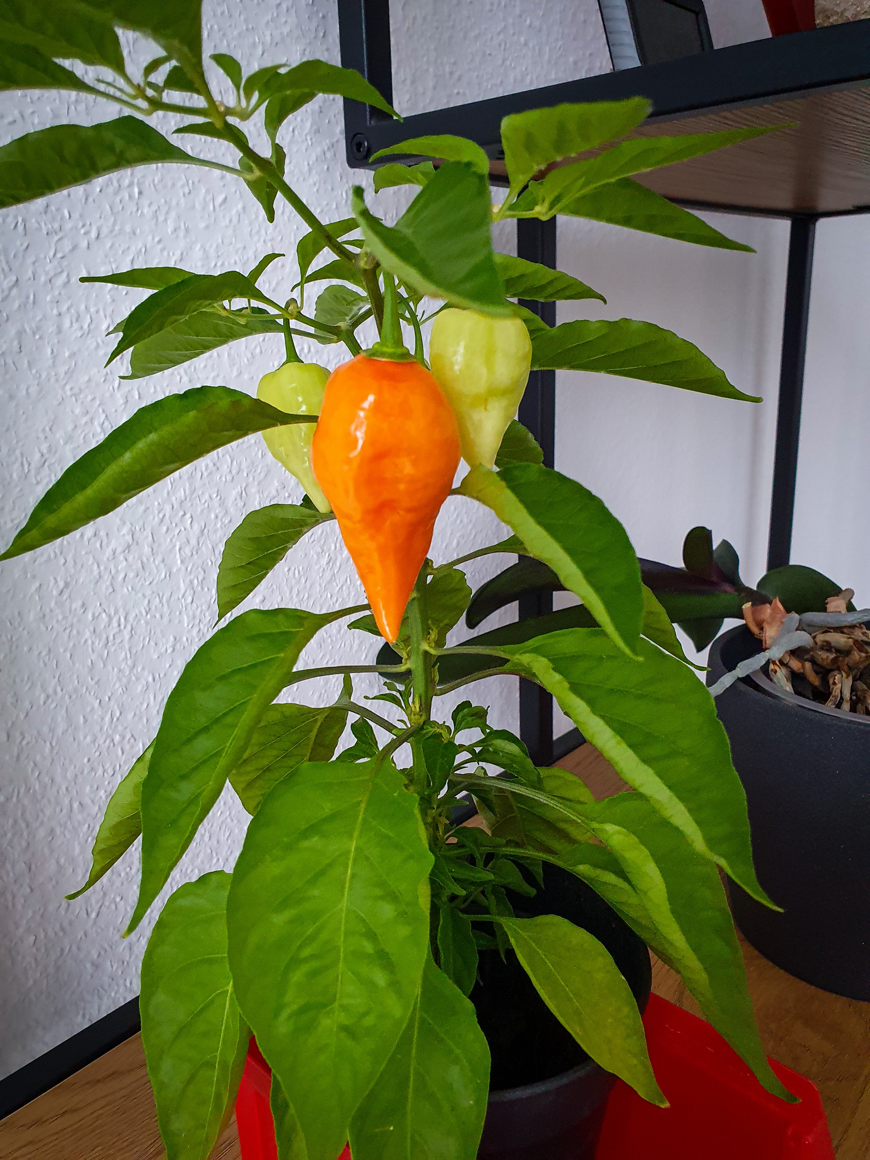 20221209_093423.jpg