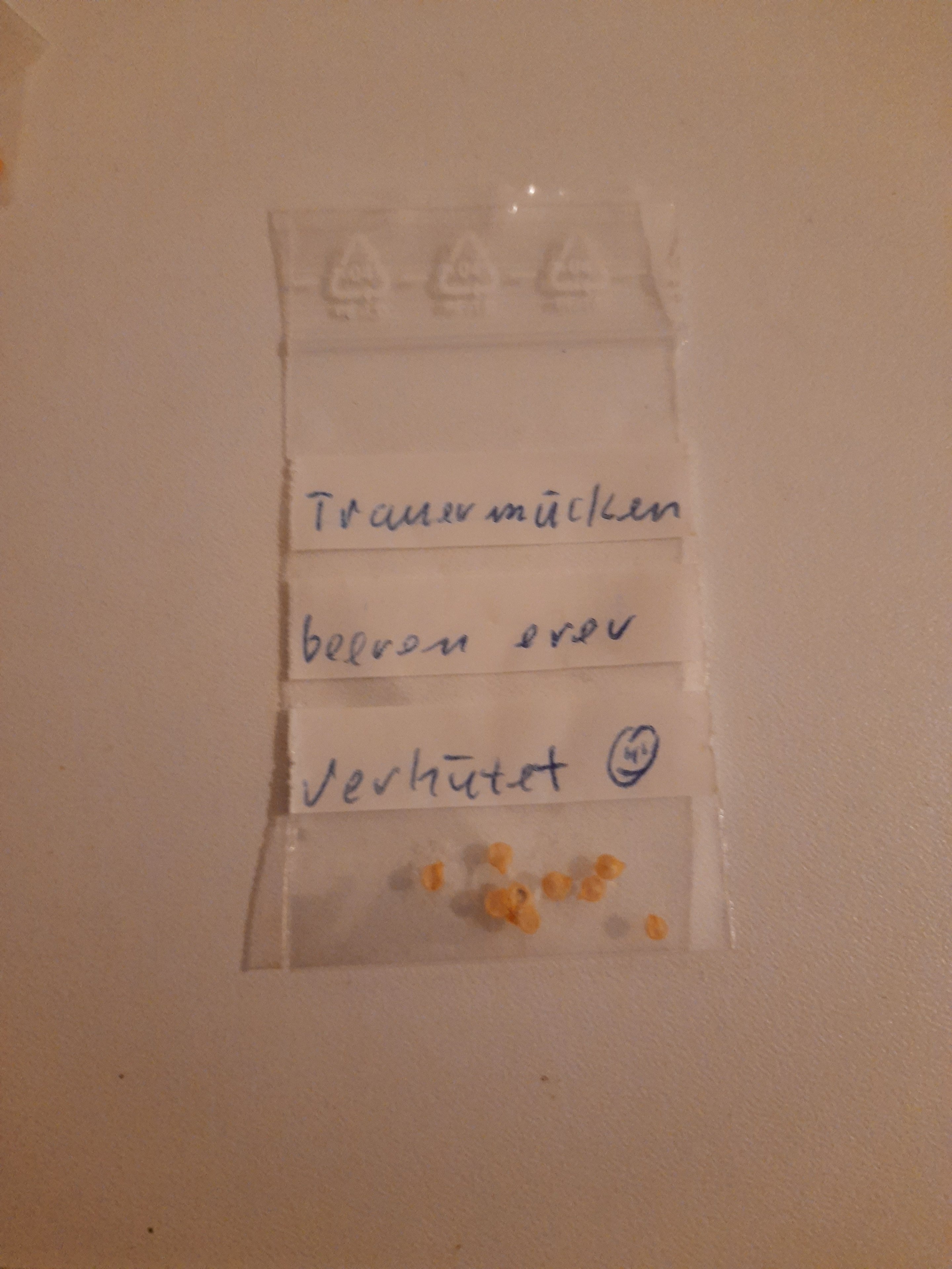 20221229_181727.jpg