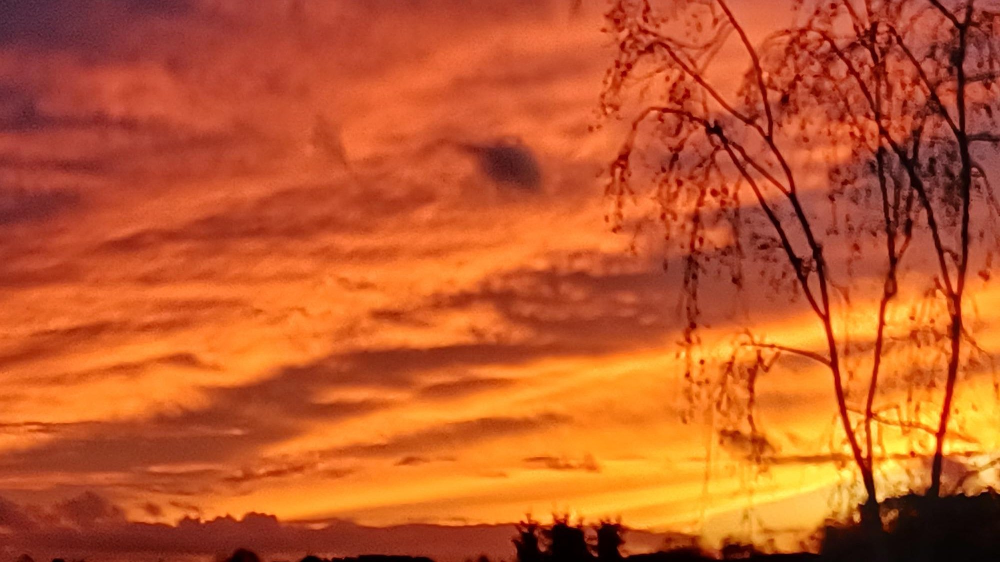 20230111_165413.jpg