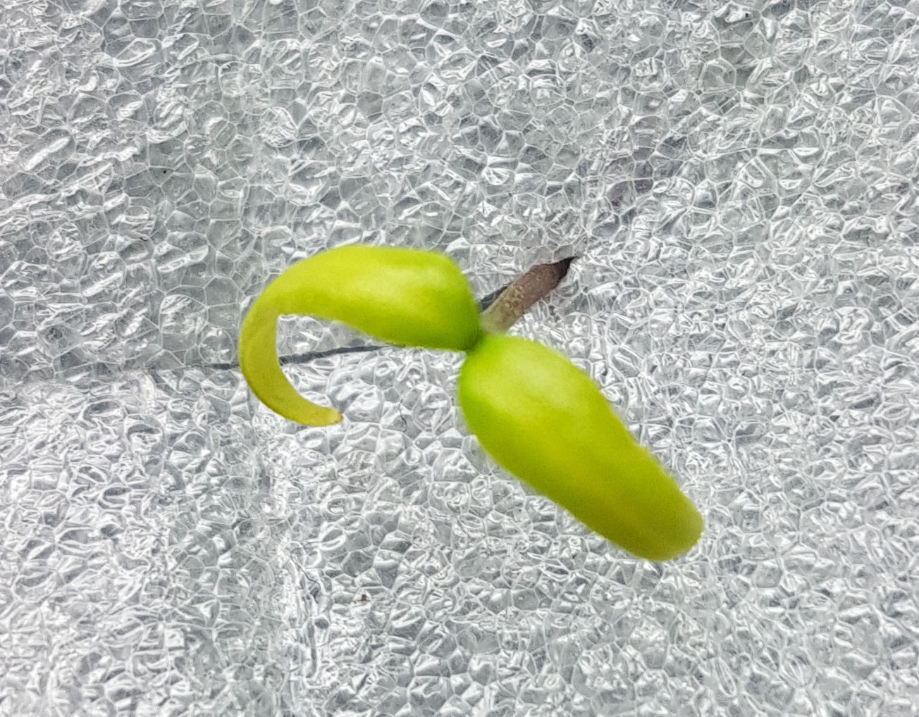 20230308_190933k.jpg