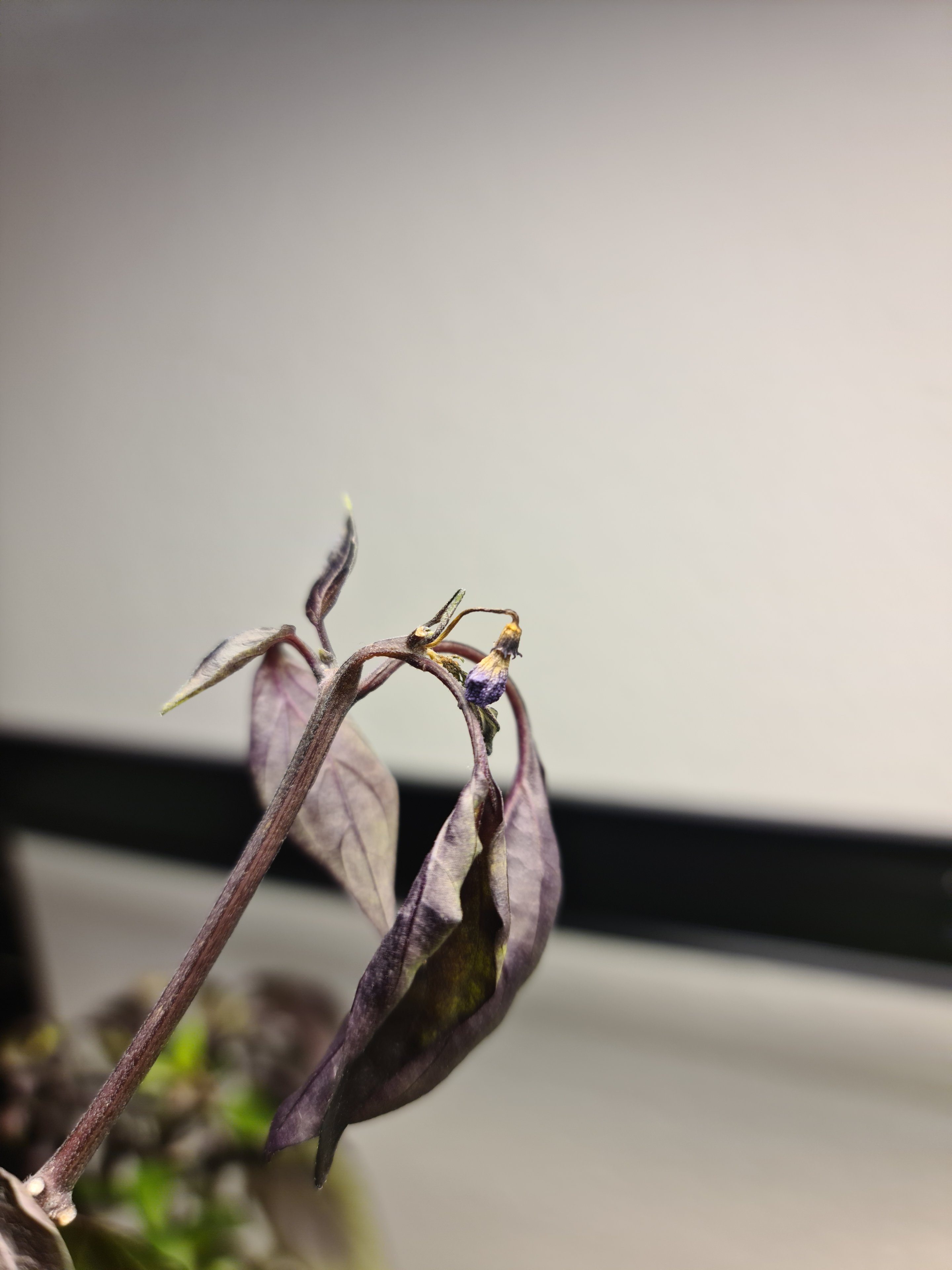 20230401_090409.jpg
