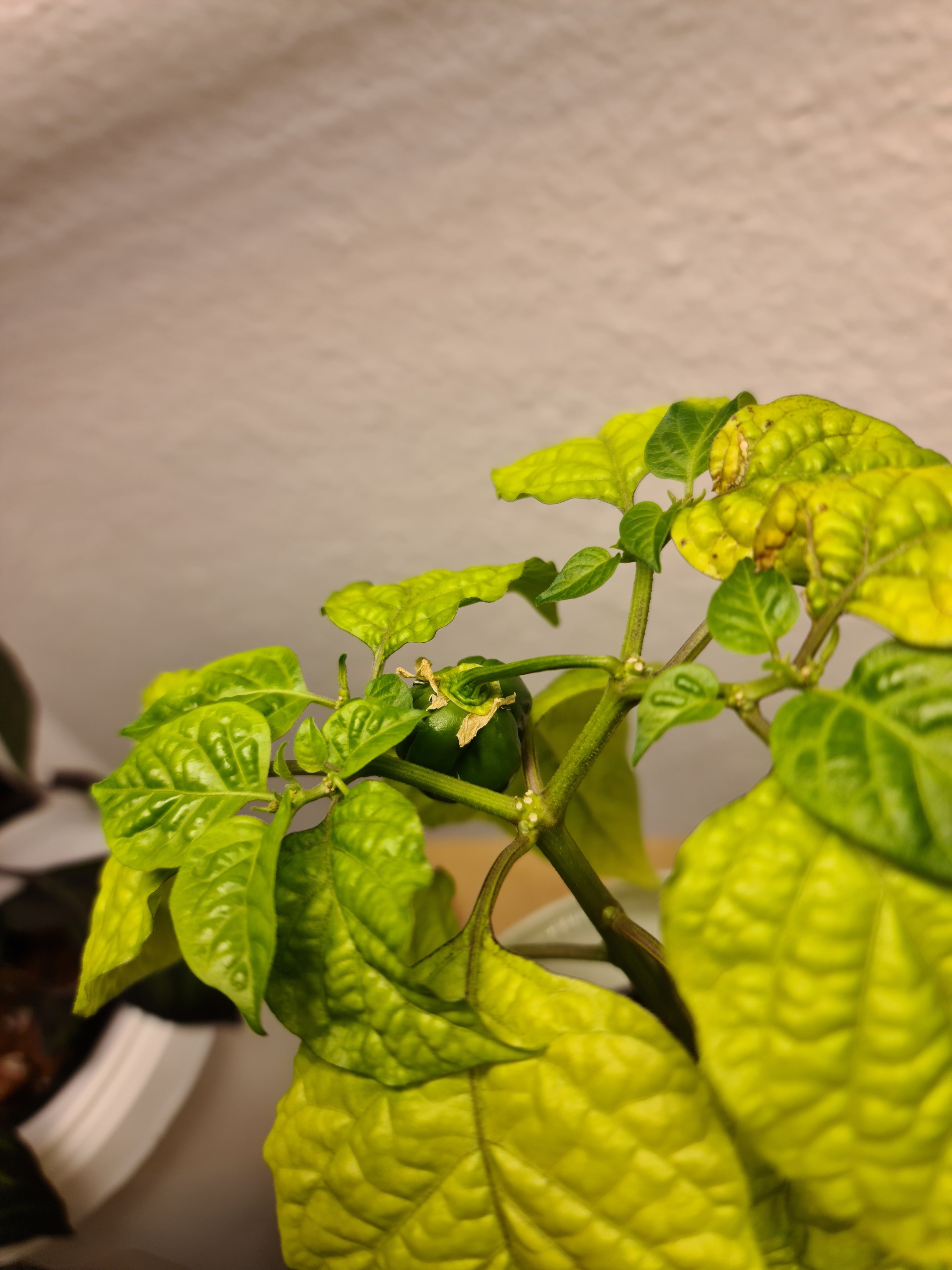 20230401_090418.jpg