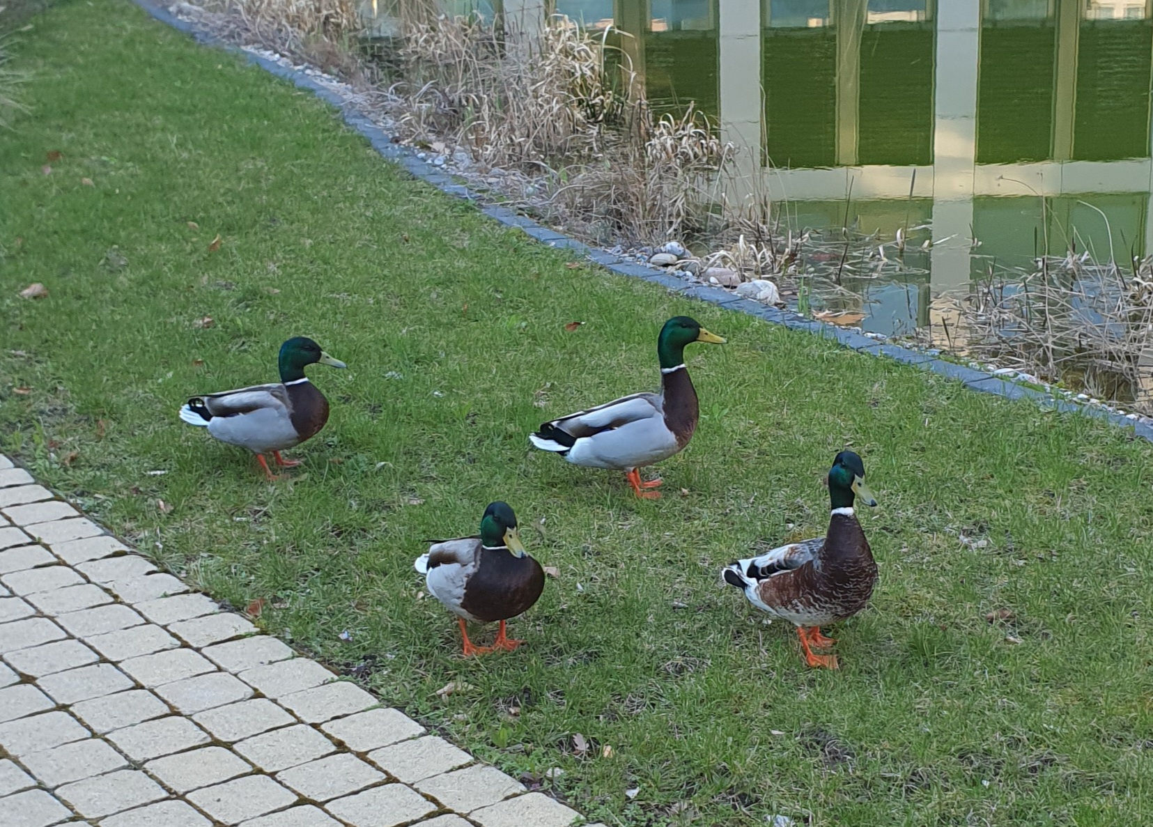 20230405_190027.jpg