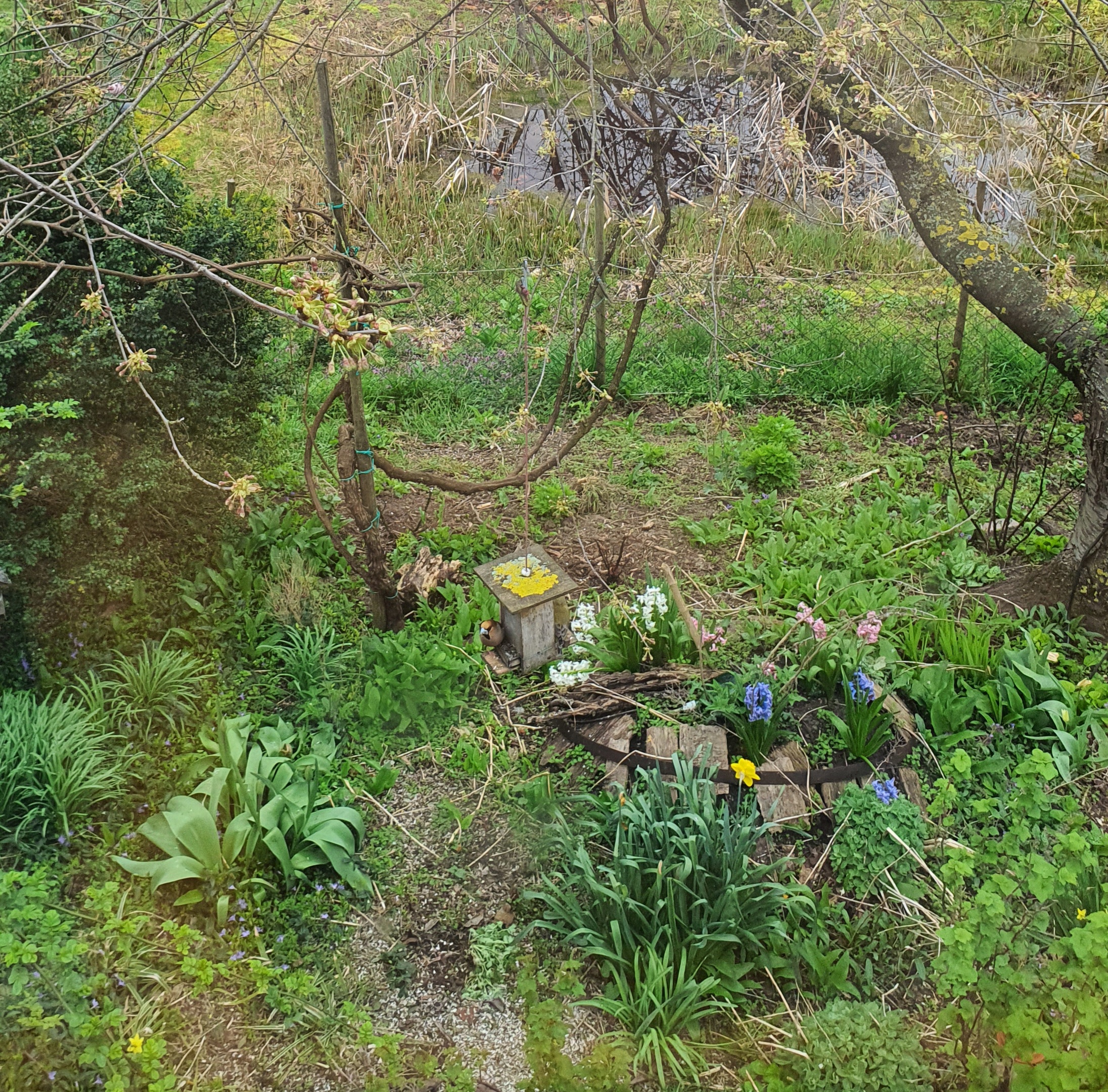 20230408_090508.jpg