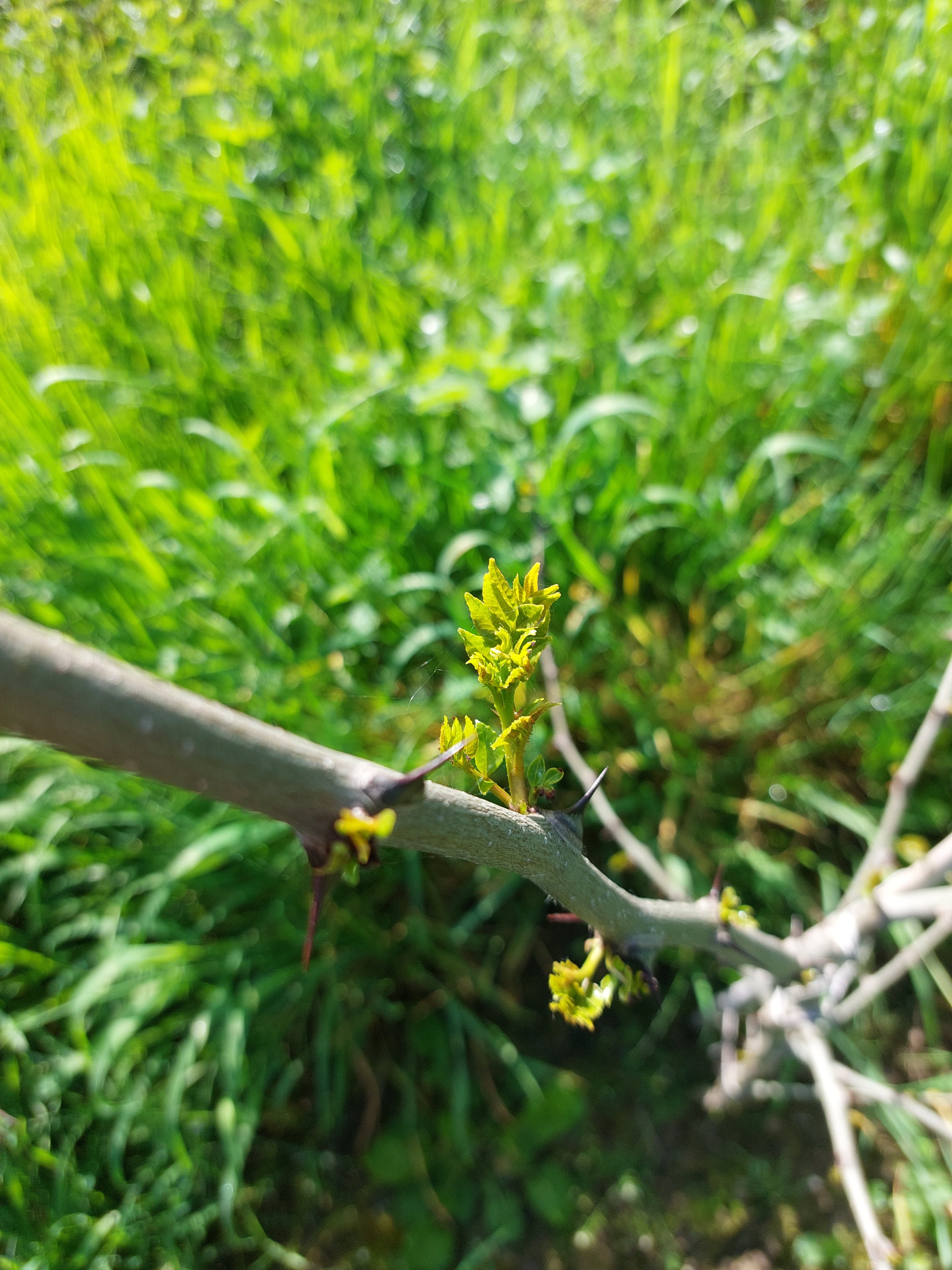 20230503_094104.jpg