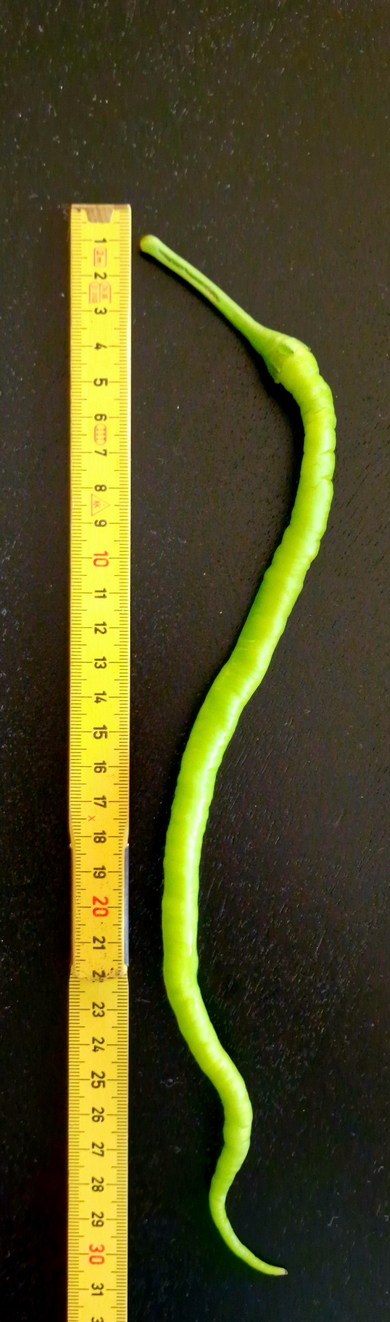 20230518_195151.jpg