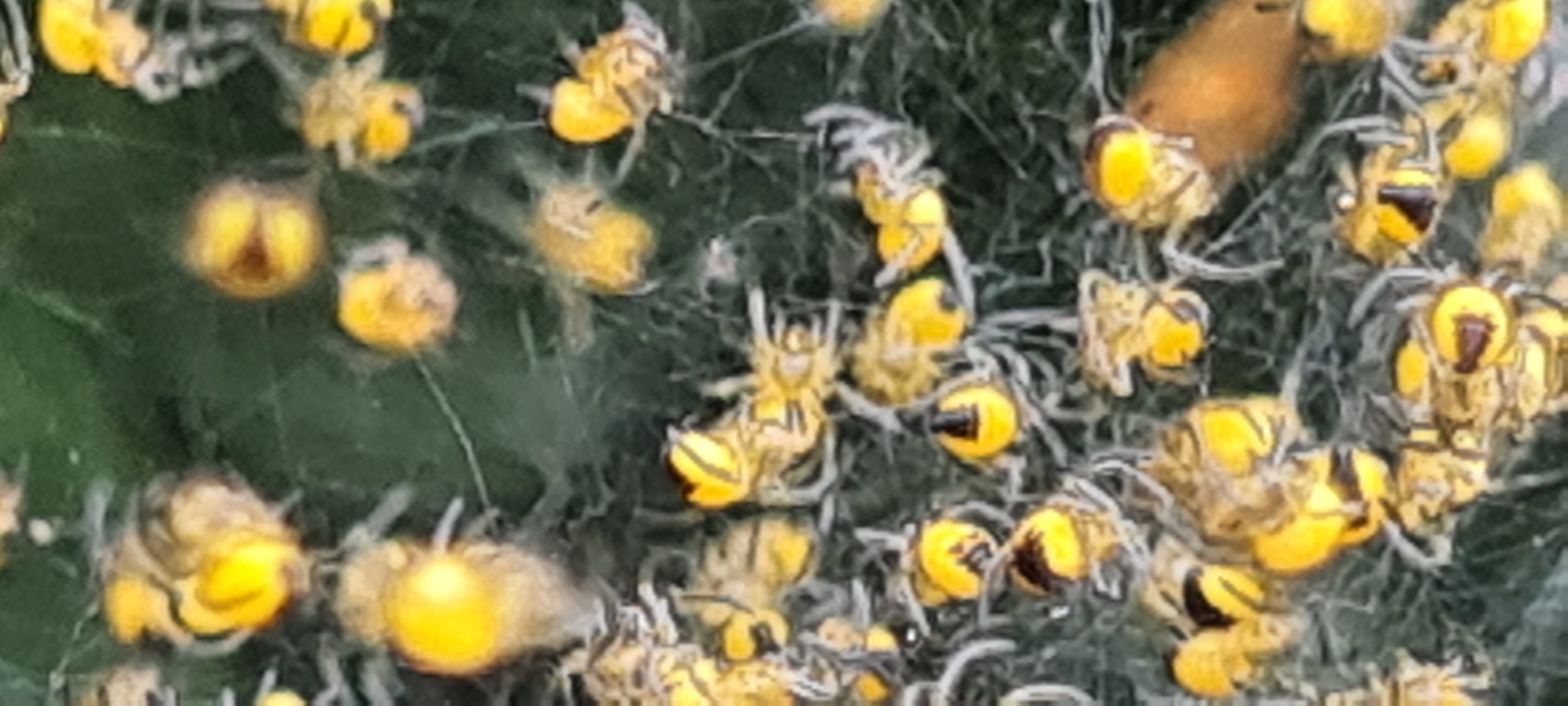 20230520_163026.jpg
