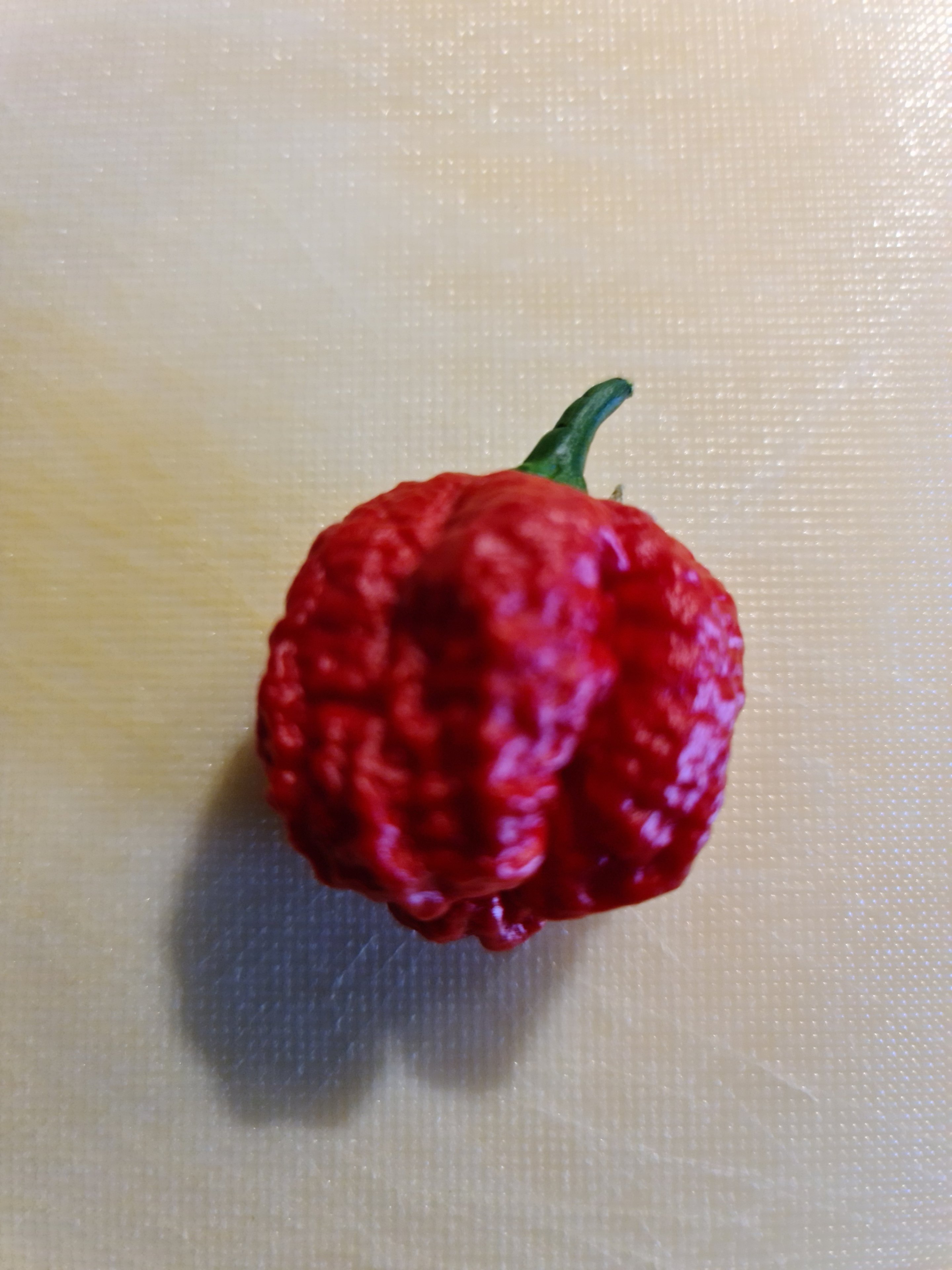 20230529_151515.jpg