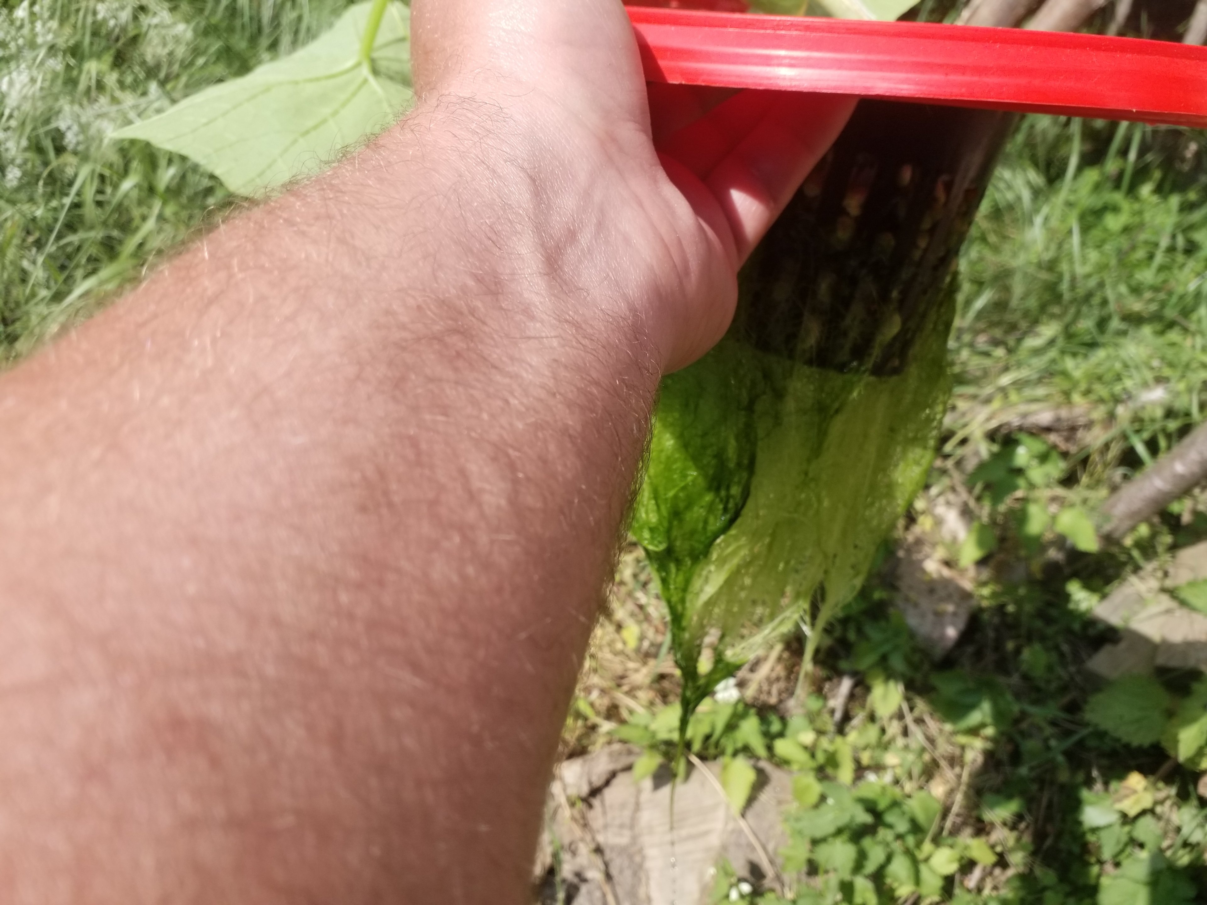 20230610_161911.jpg