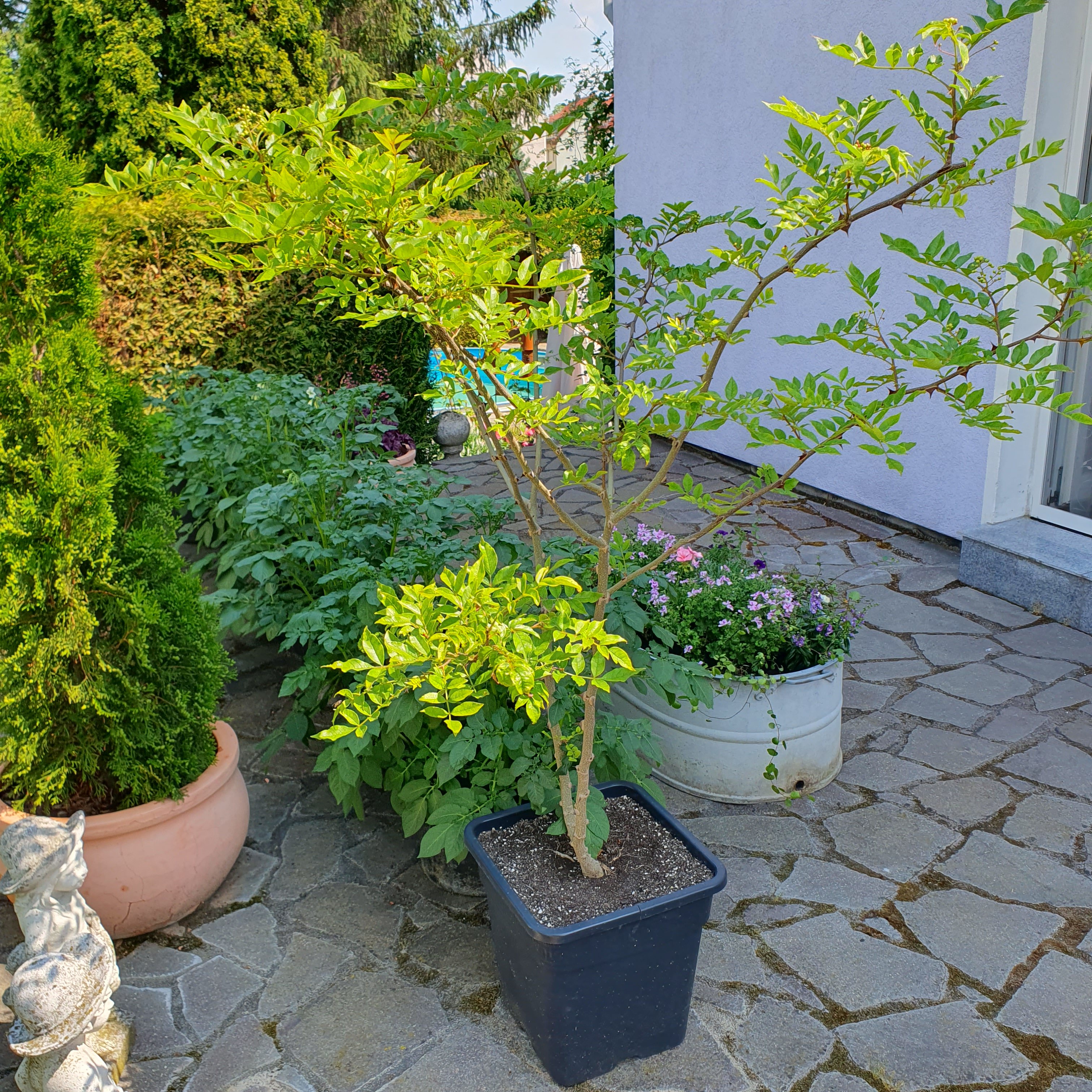 20230618_112307.jpg